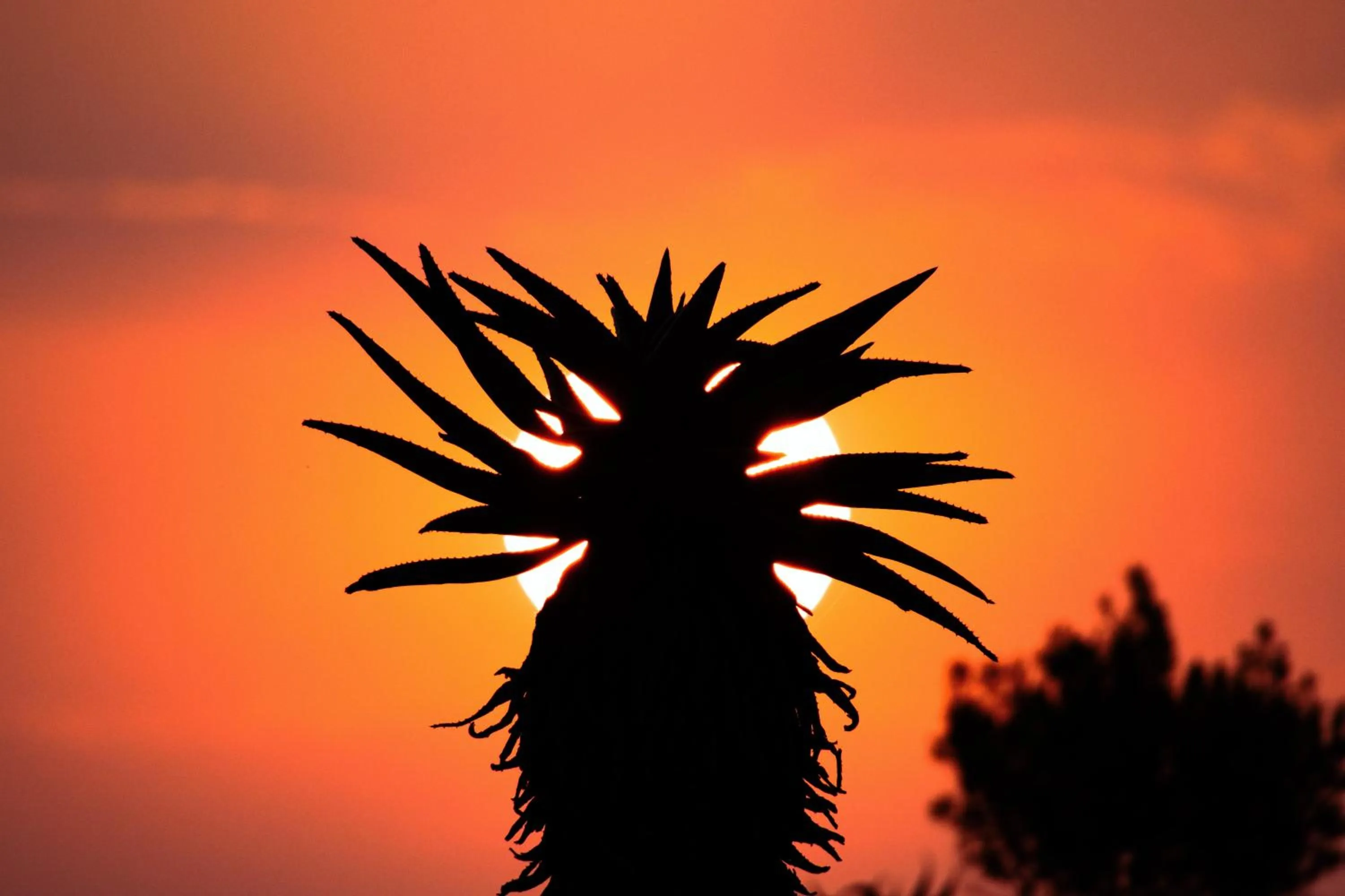 Natural landscape in Valley Lodge - Babanango Game Reserve
