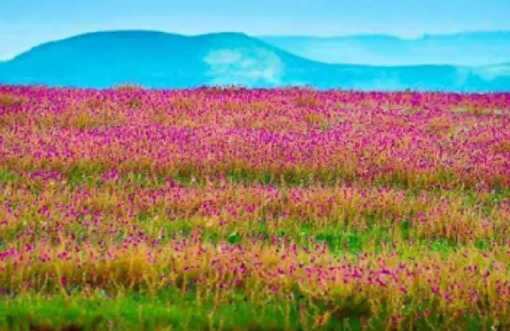 Natural landscape in Vamoose Laxmi Hill Resort