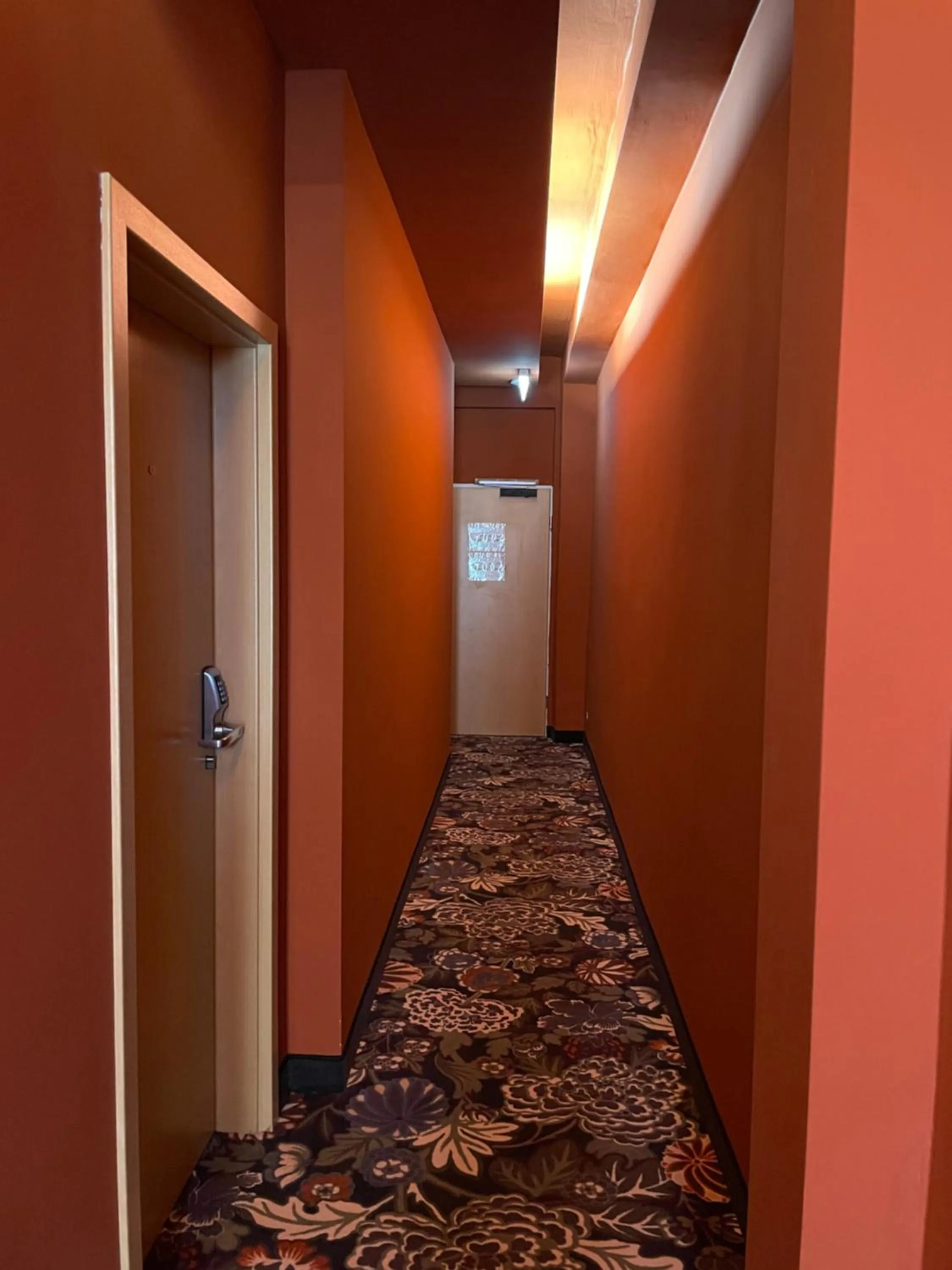 Area and facilities in Hotel Elsen