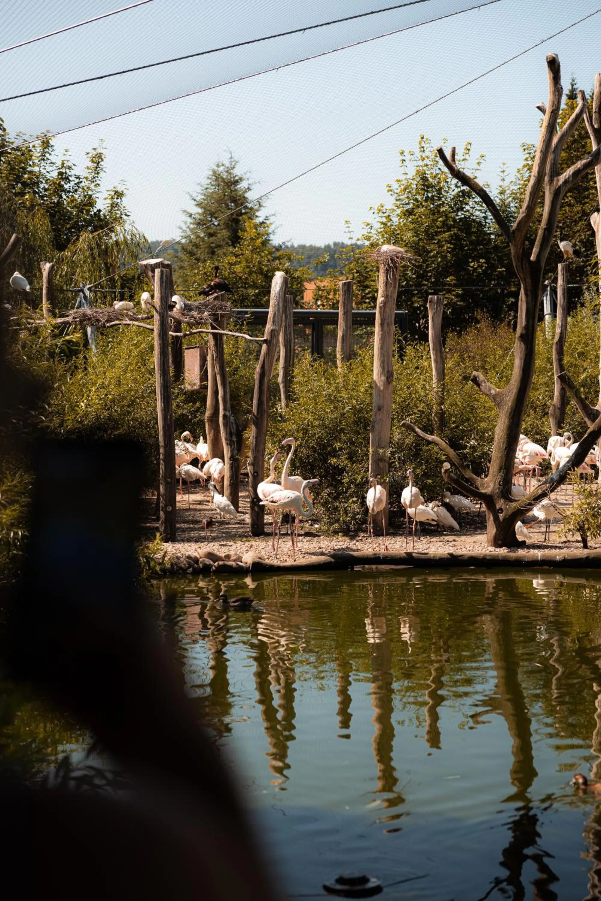 Nearby landmark in ART Hostel & Apartments