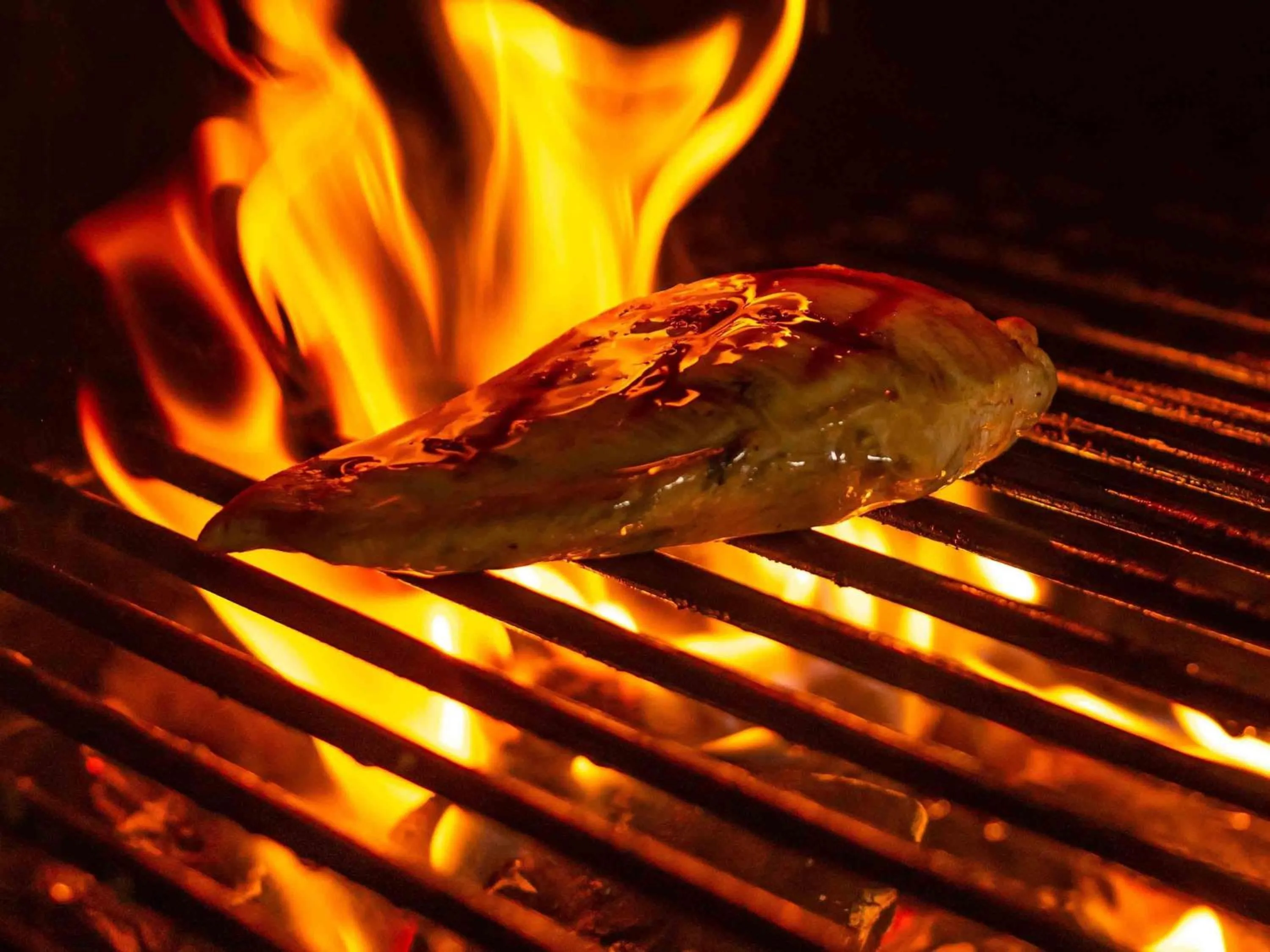 Restaurant/places to eat in Novotel Mexico City Toreo