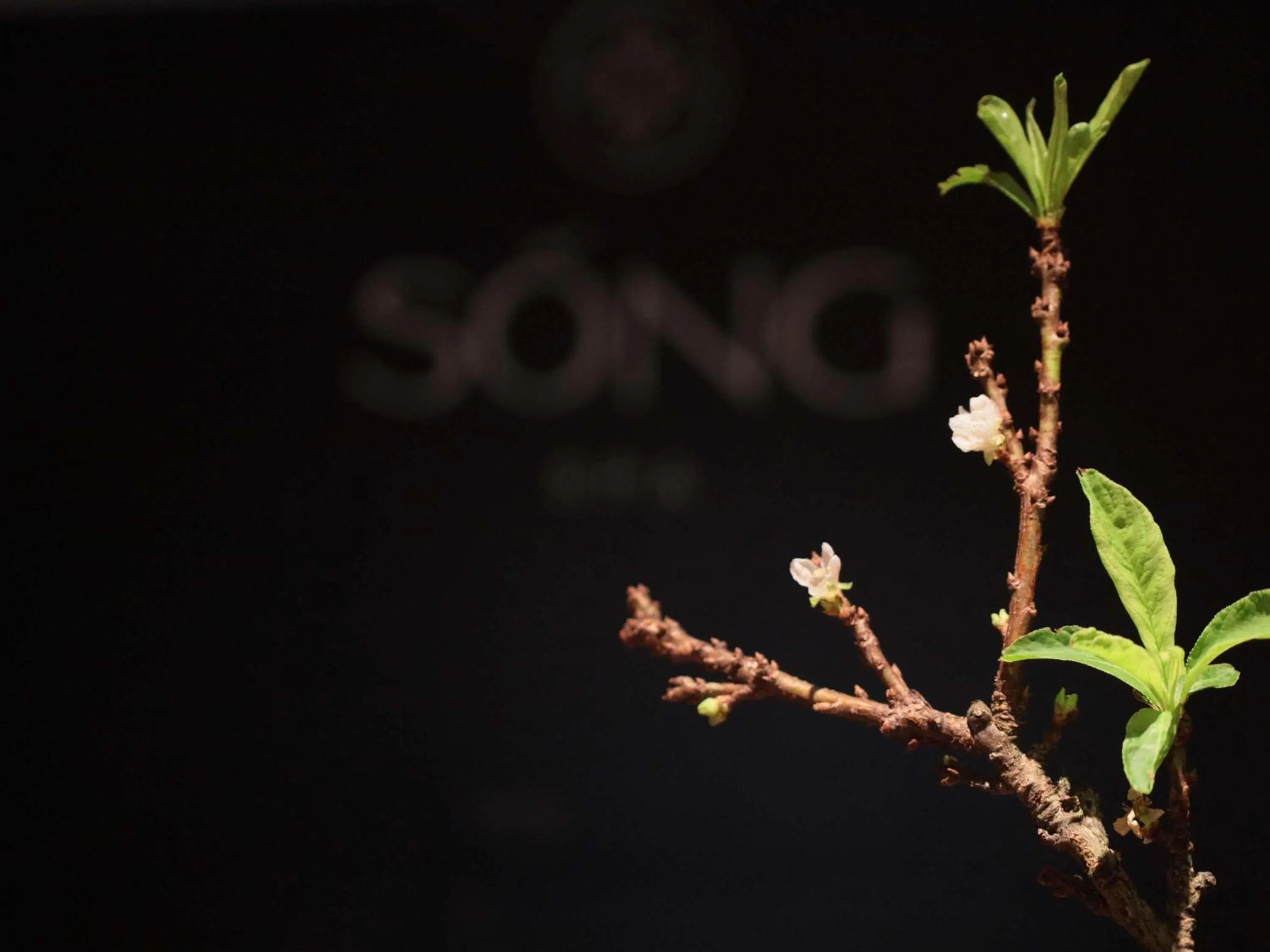 Spa and wellness centre/facilities in Grand Mercure Hanoi