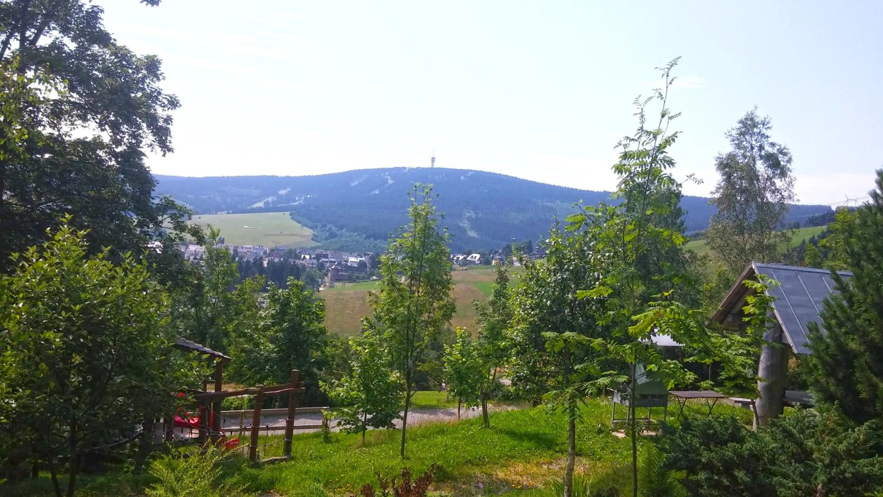 Mountain view in Panorama Hotel Oberwiesenthal