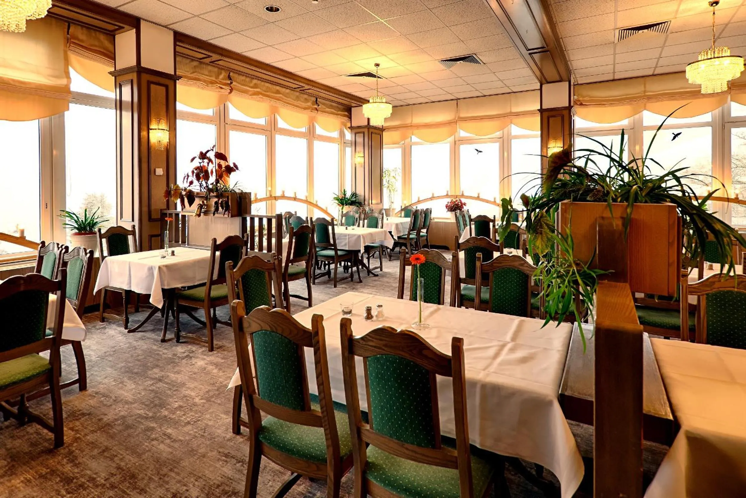 Restaurant/places to eat in Panorama Hotel Oberwiesenthal