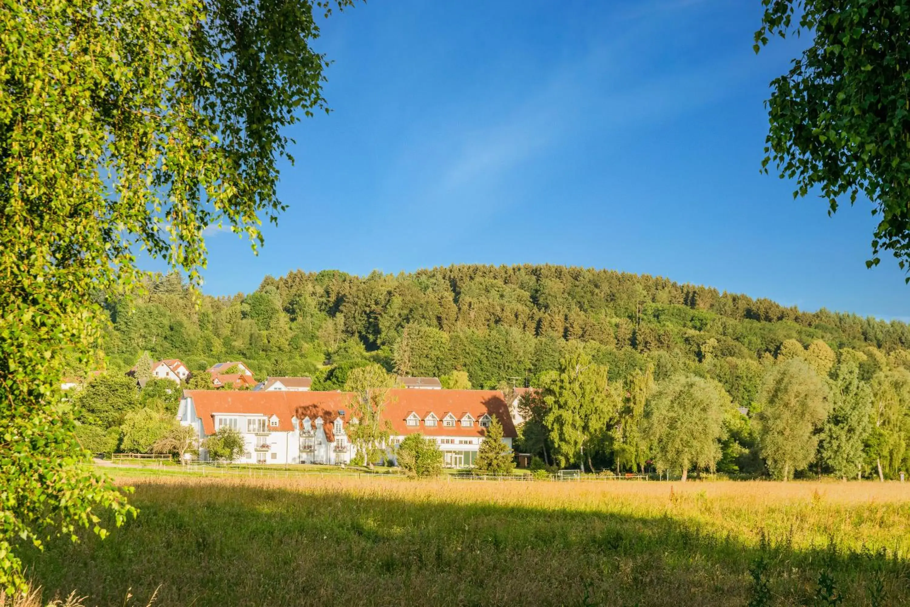 Landhotel Alte Mühle Landhotel Alte Mühle
