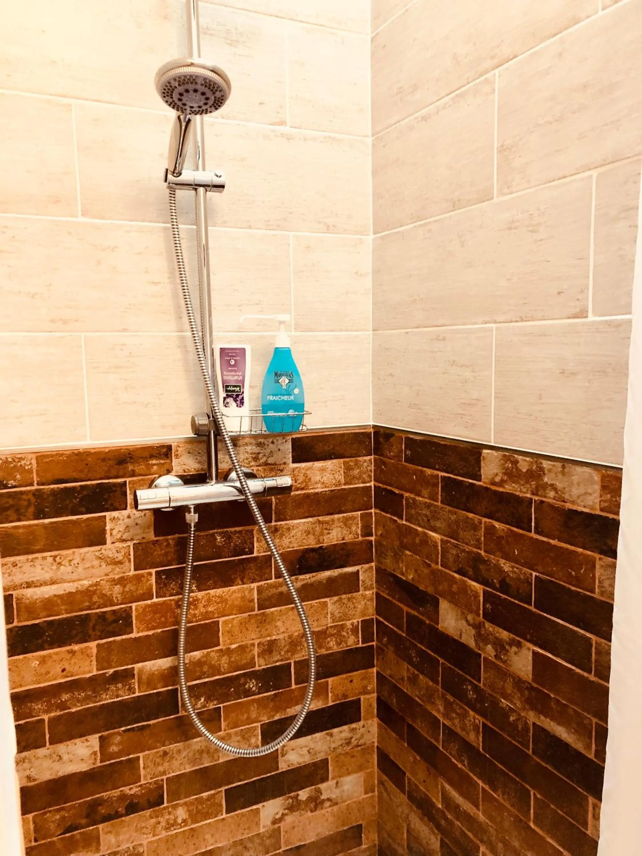 Shower in Chambre-studio Le 42