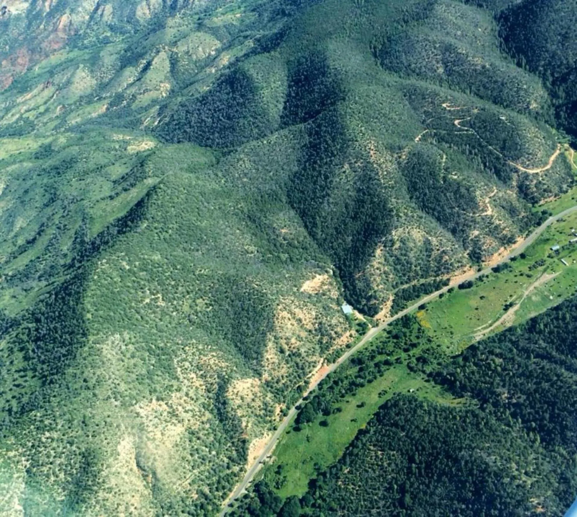 Natural landscape in Cloudcroft Hostel