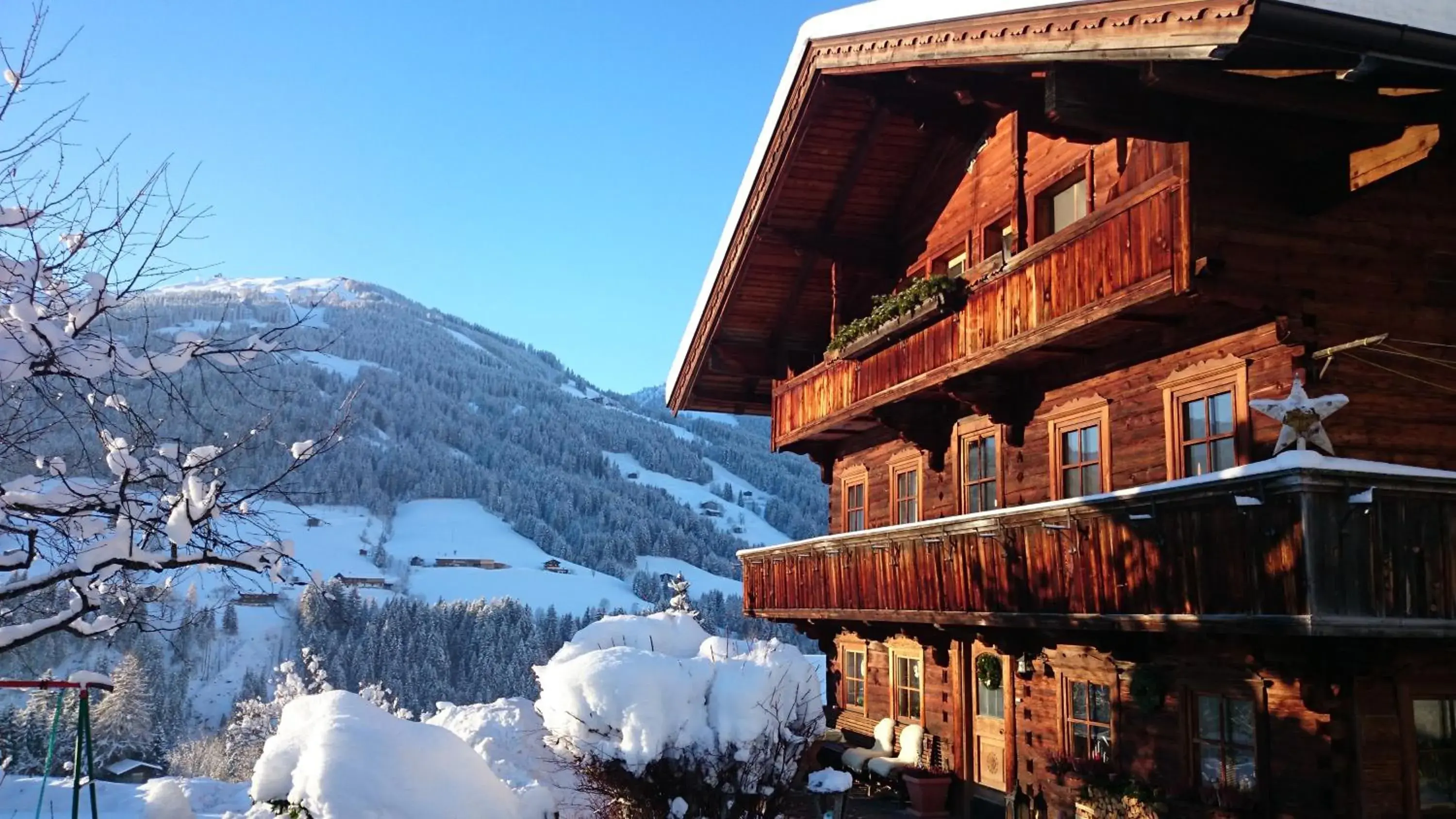Fürstenhäusl Alpbach - GREEN Apartments & Studio Fürstenhäusl Alpbach - GREEN Apartments & Studio