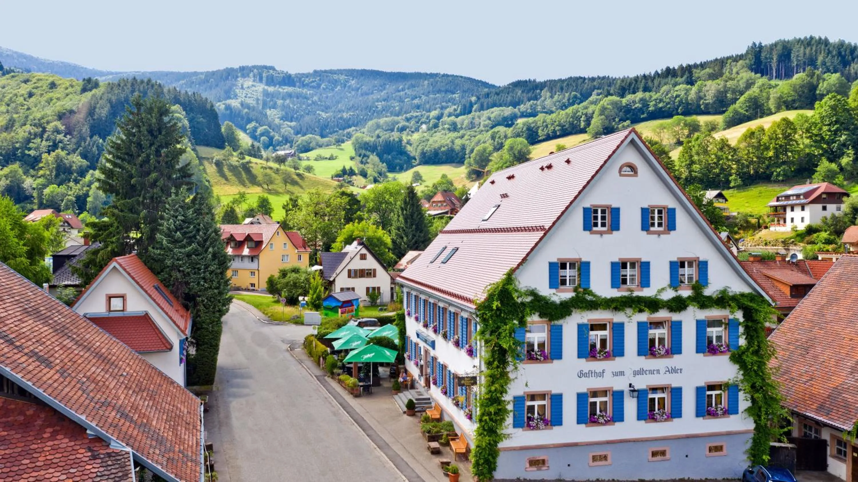 Bird's eye view in Goldener Adler Oberried - Hotel & Appartements