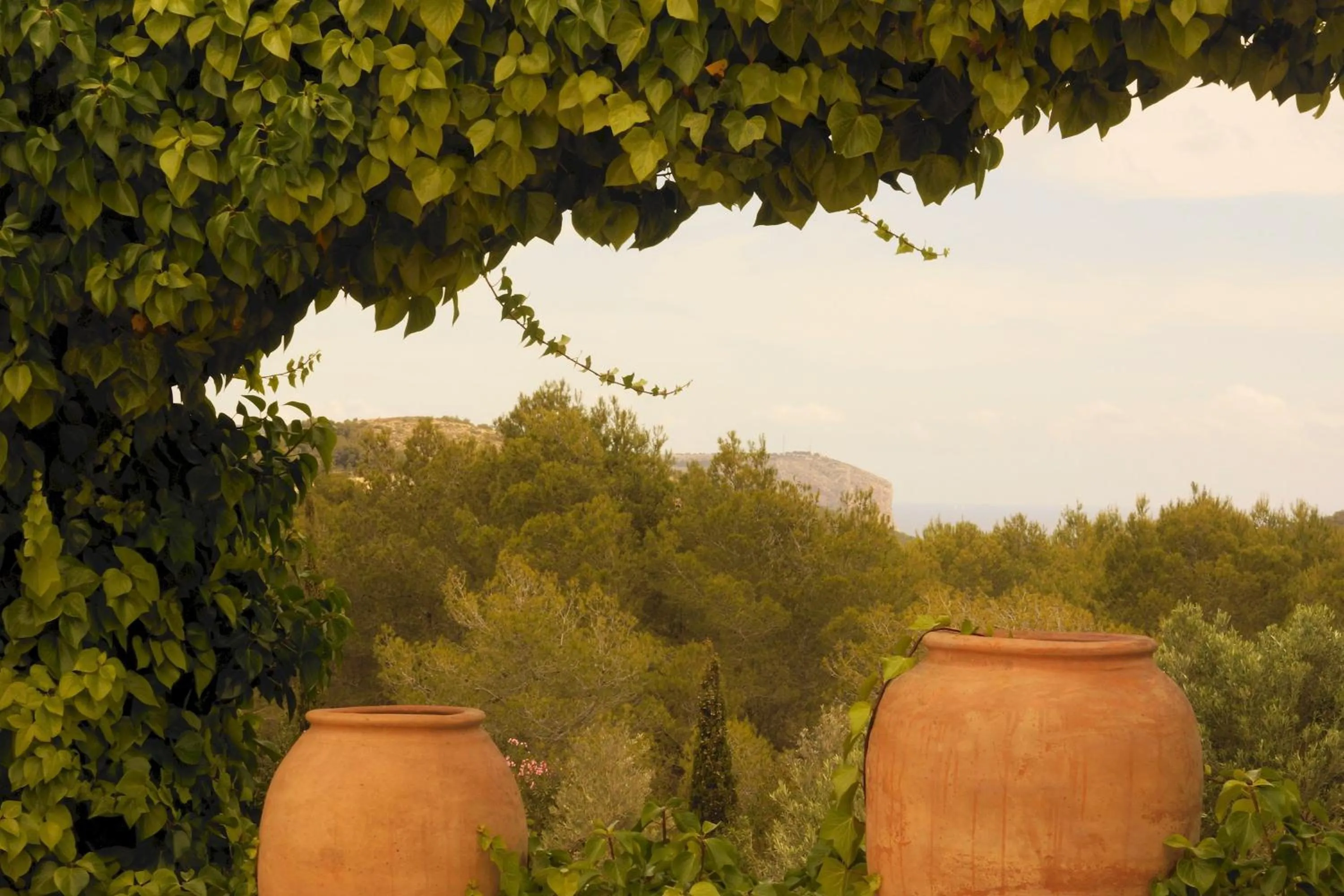 Other in Villa La Siesta
