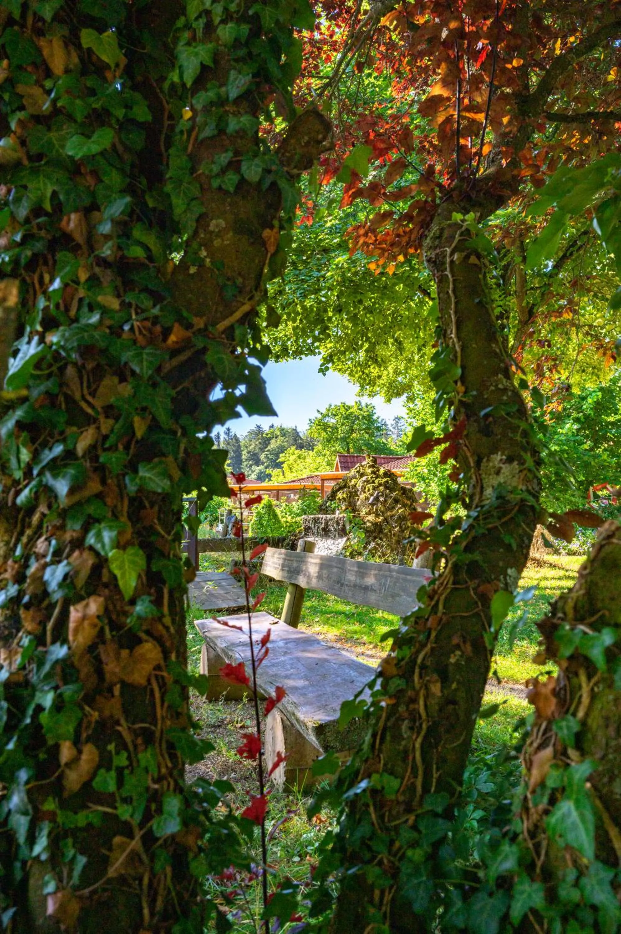 Garden in Hotel Schloßberg