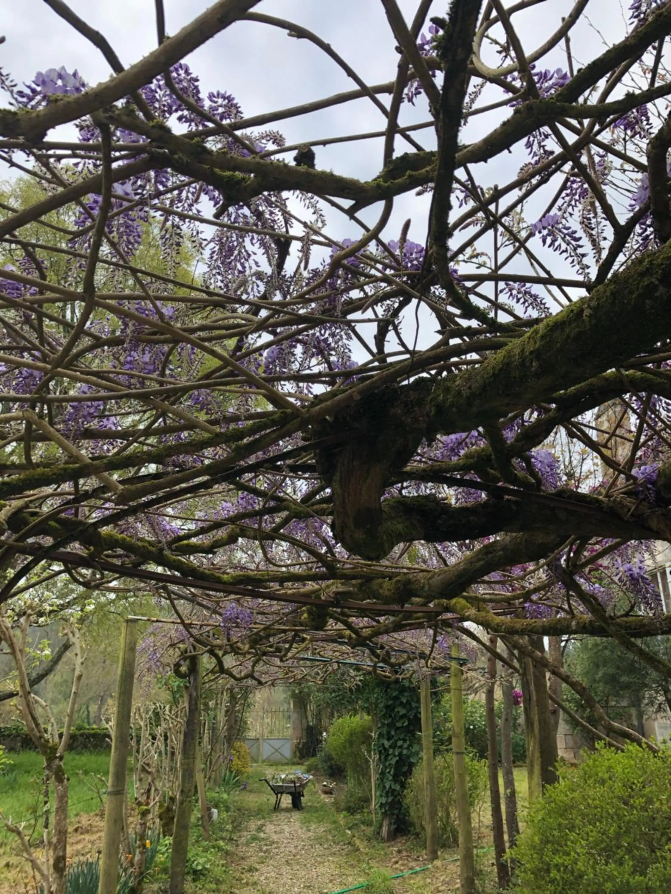 Spring in Château Destinée