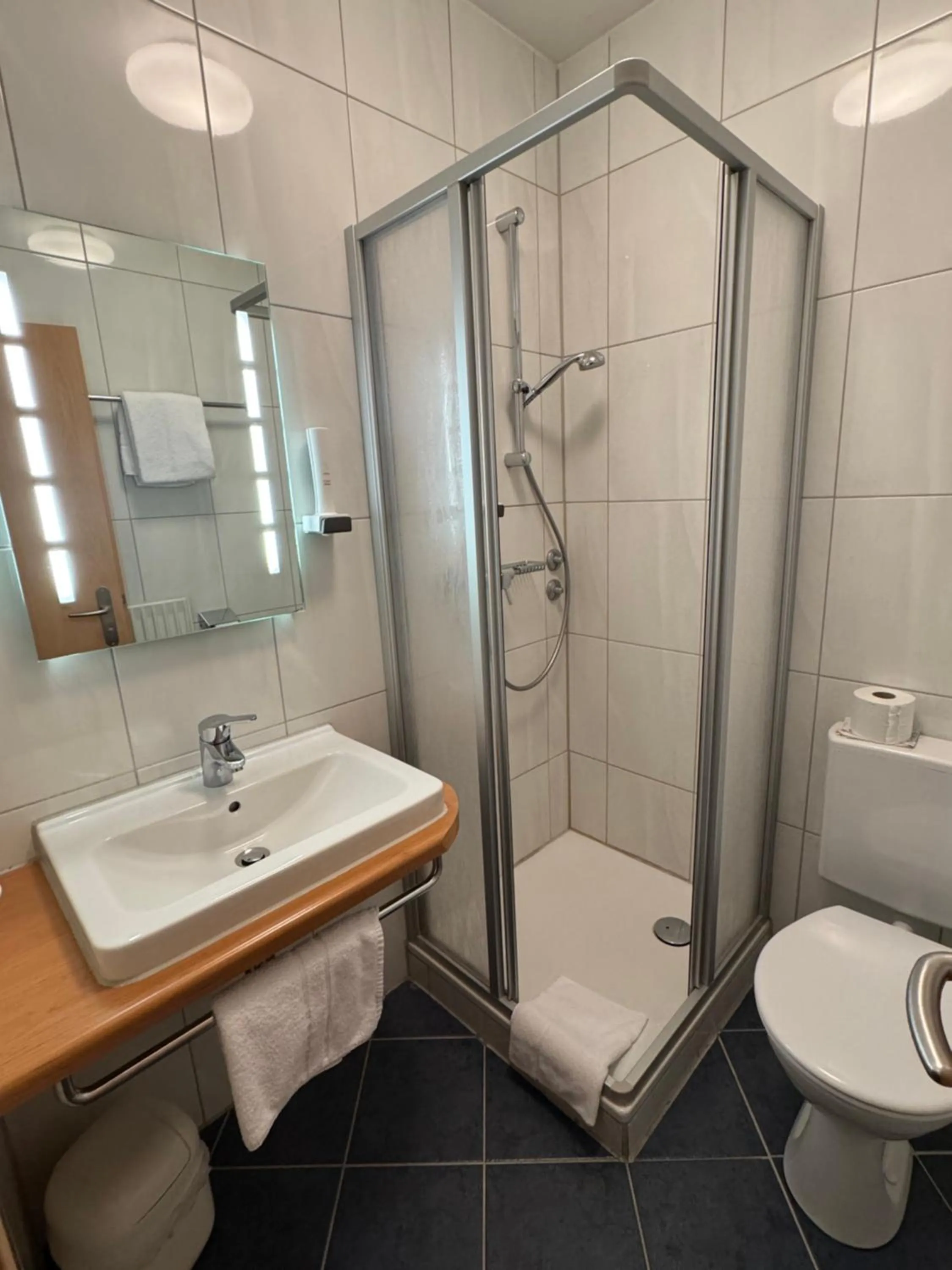 Bathroom in Hotel Silberhorn