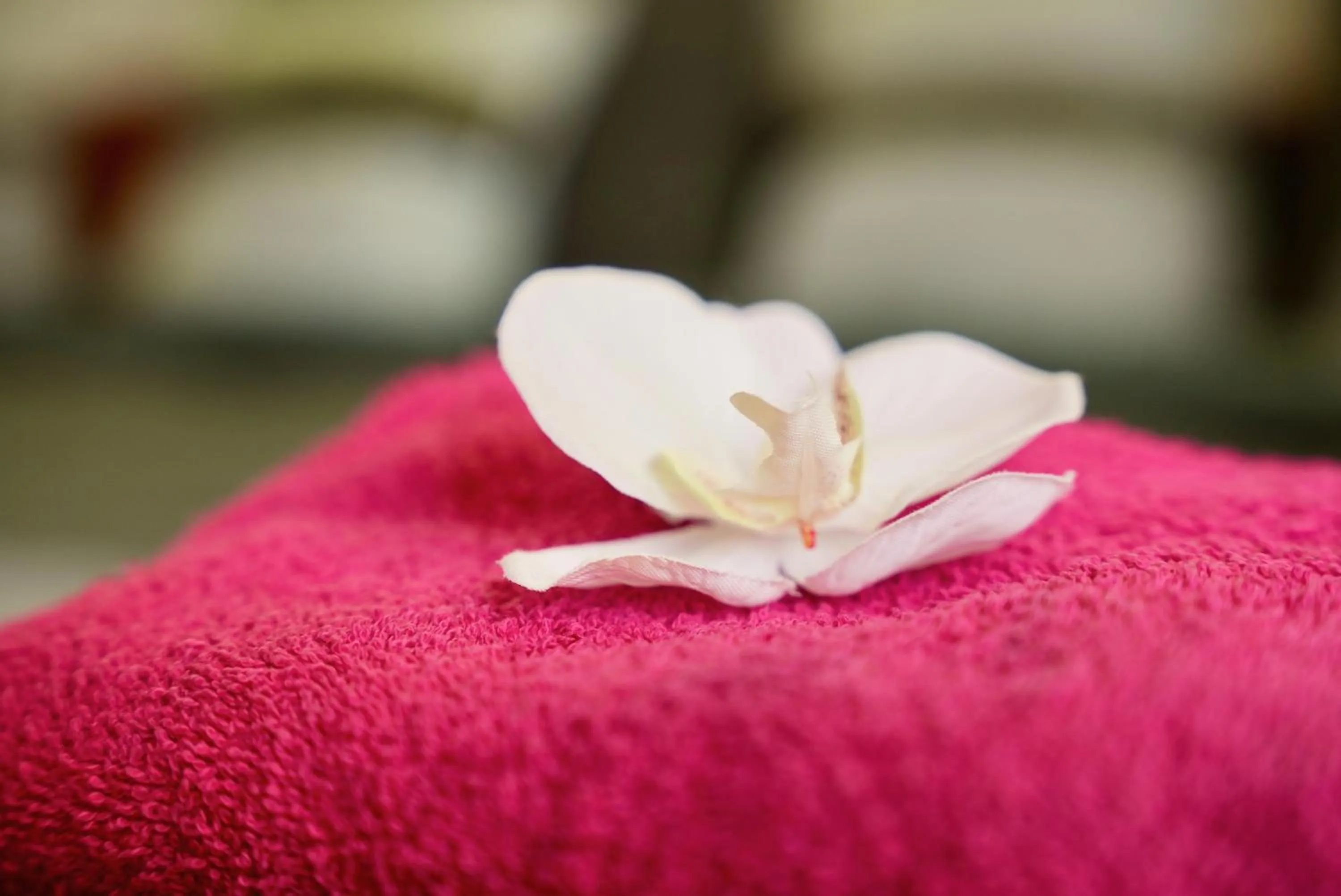 Mas La Farelle Gîte, Fitness & Salle de jeux gratuite & SPA en supplément