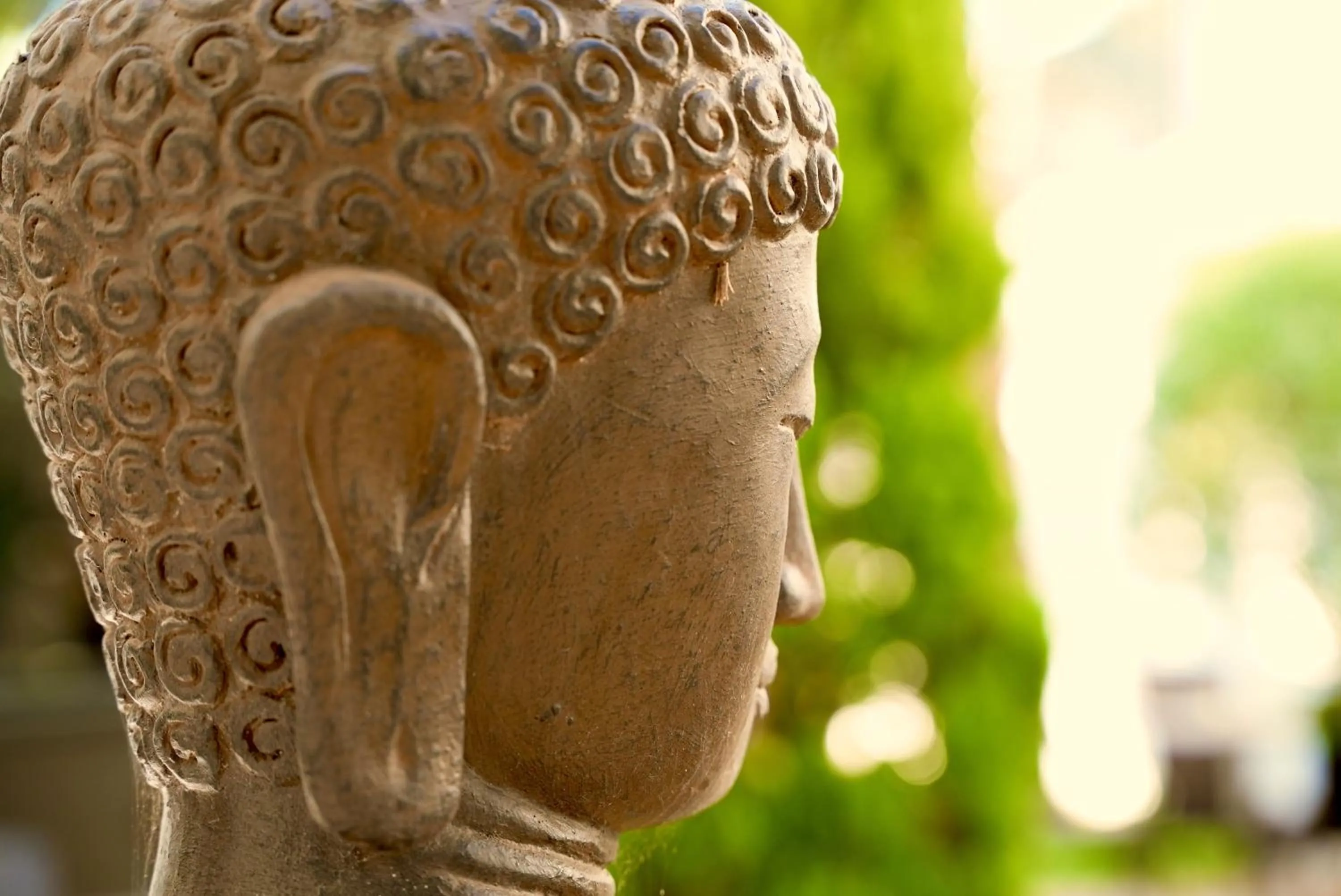 Mas La Farelle Gîte, Fitness & Salle de jeux gratuite & SPA en supplément