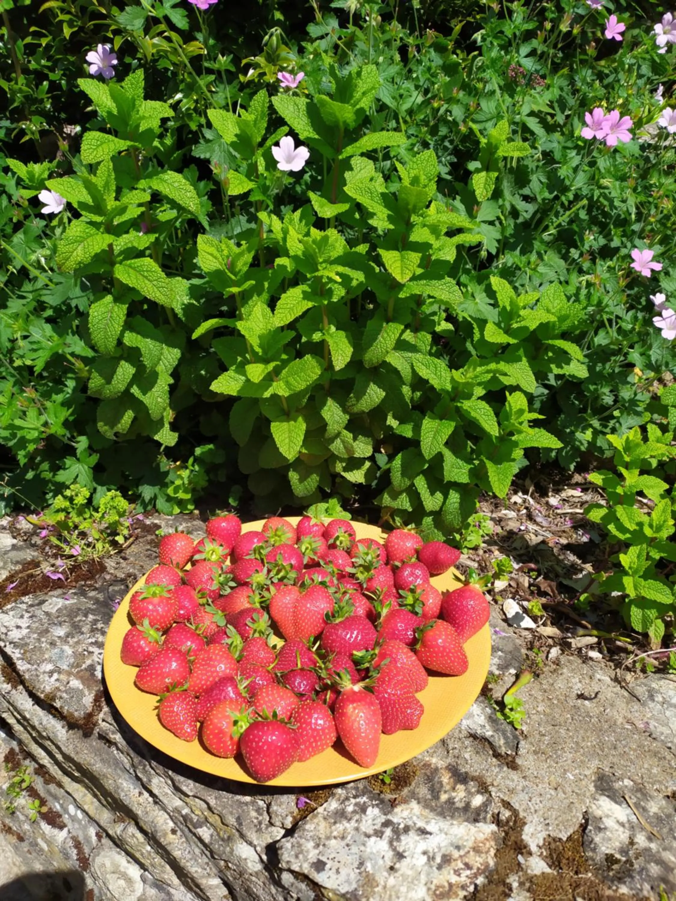 Breakfast in La Bisquine