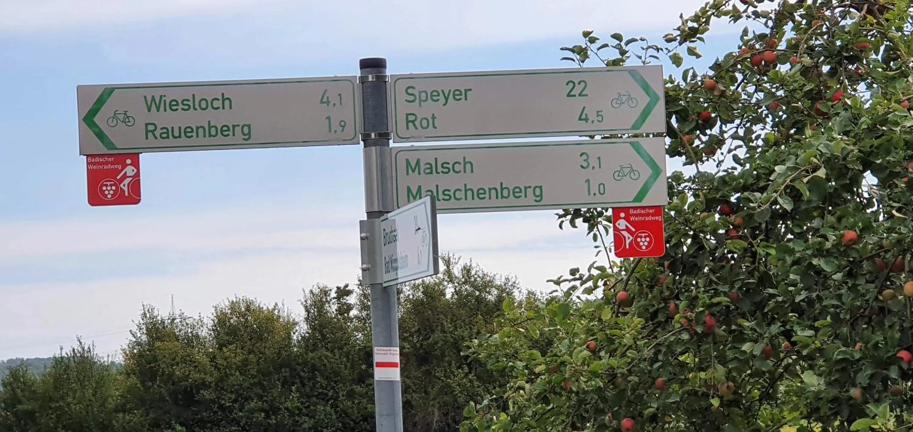 Cycling in Hotel Ifen