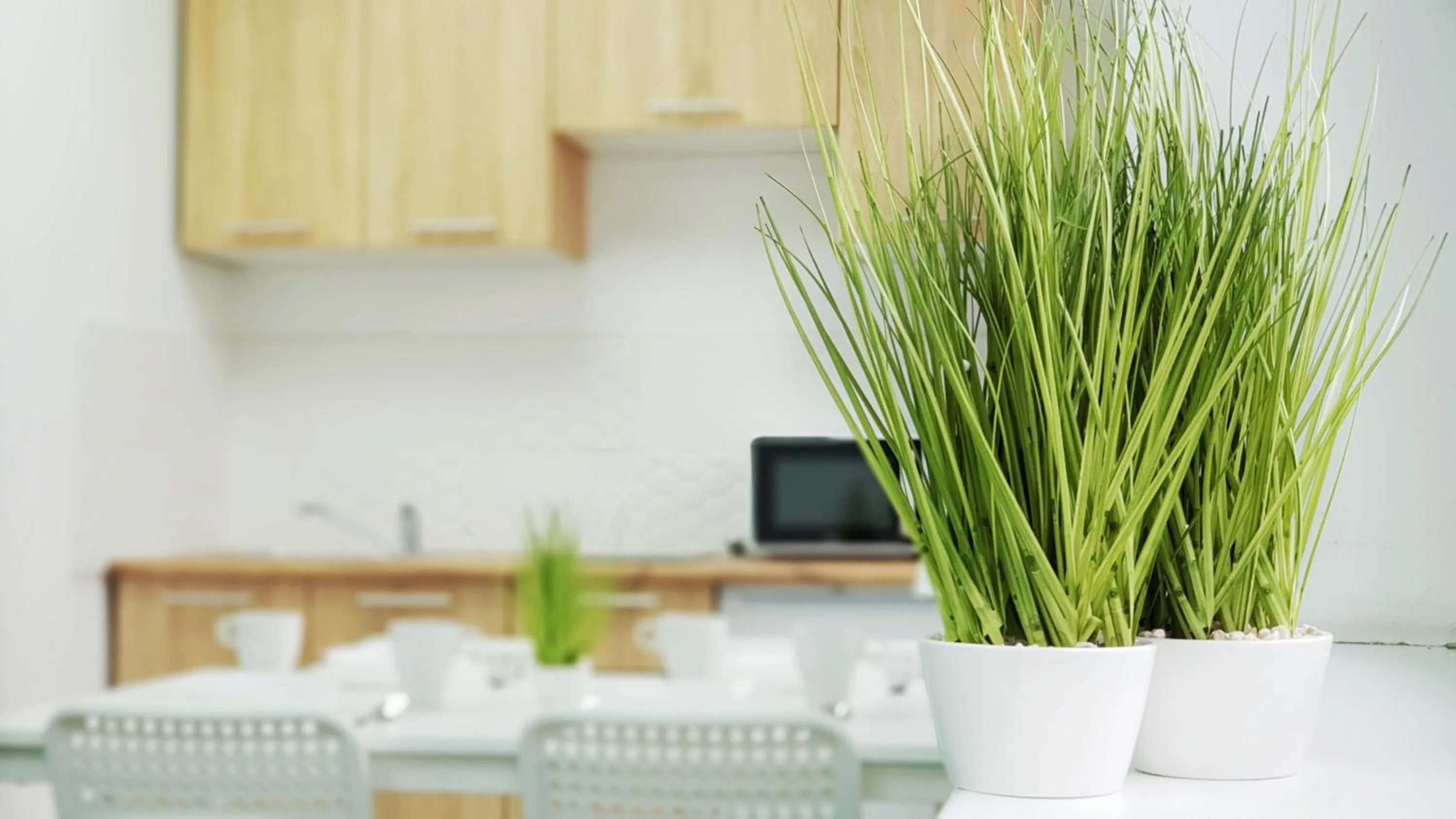 Kitchen or kitchenette in Astra Katowice - Aparthotel