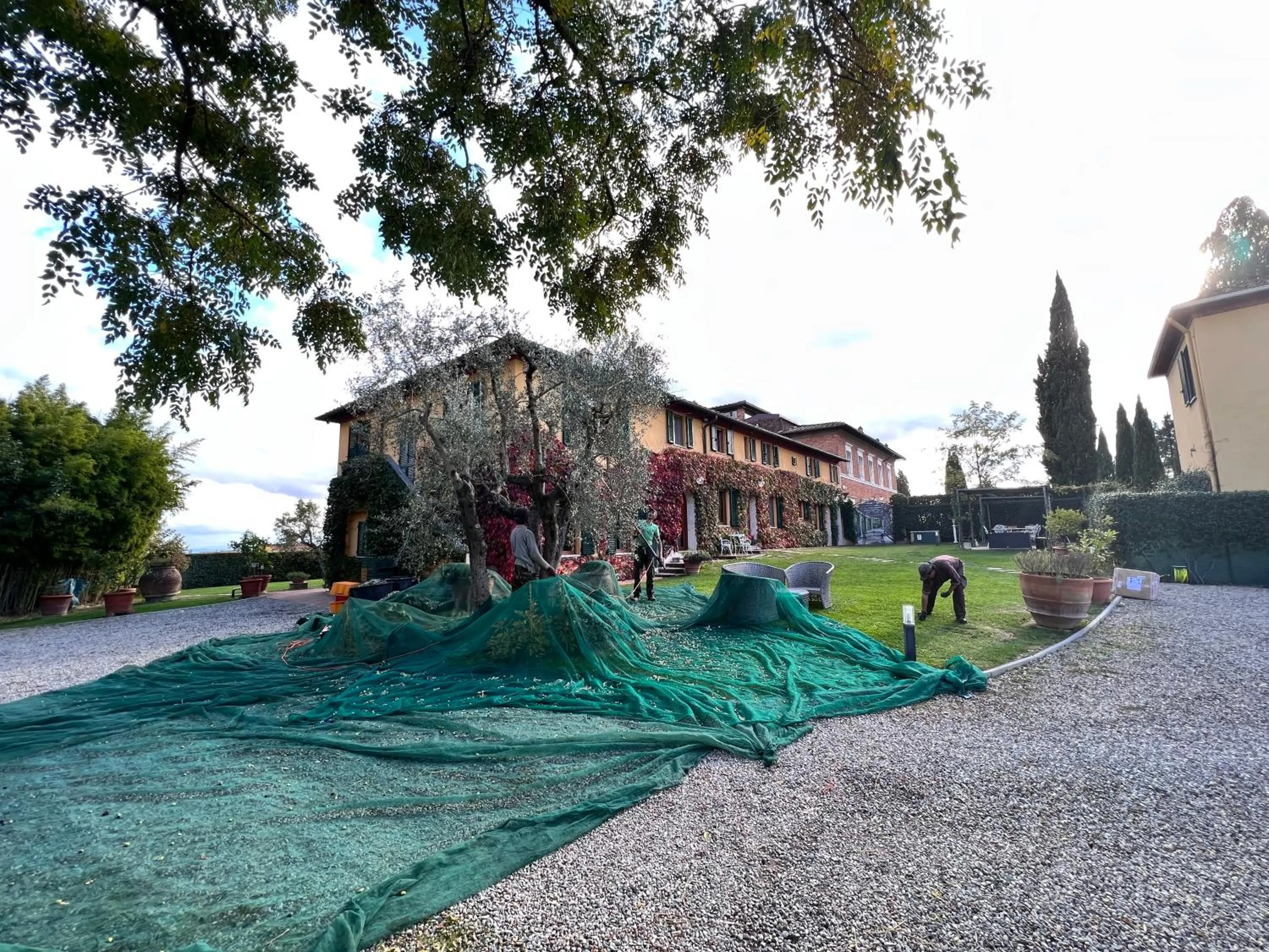 Garden in Villa Santa Chiara