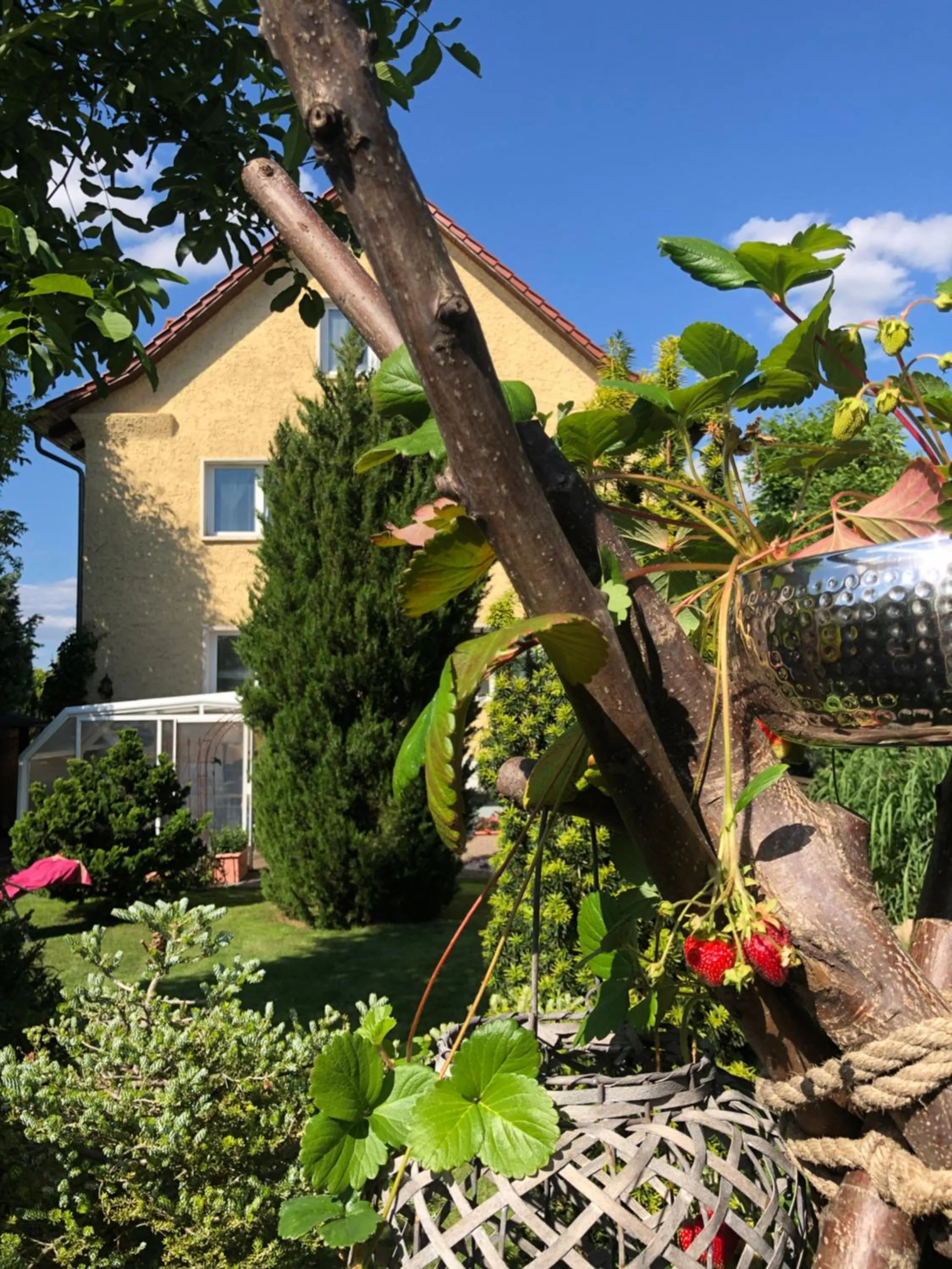 Pension Haus Bielke