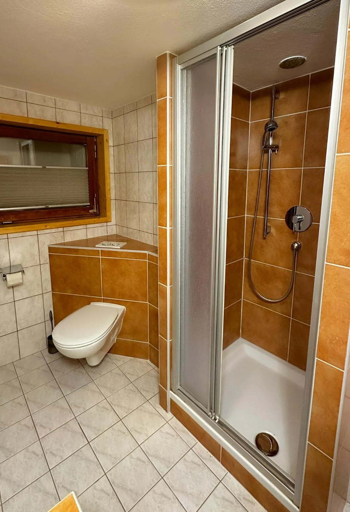 Shower in Alte Schmiede