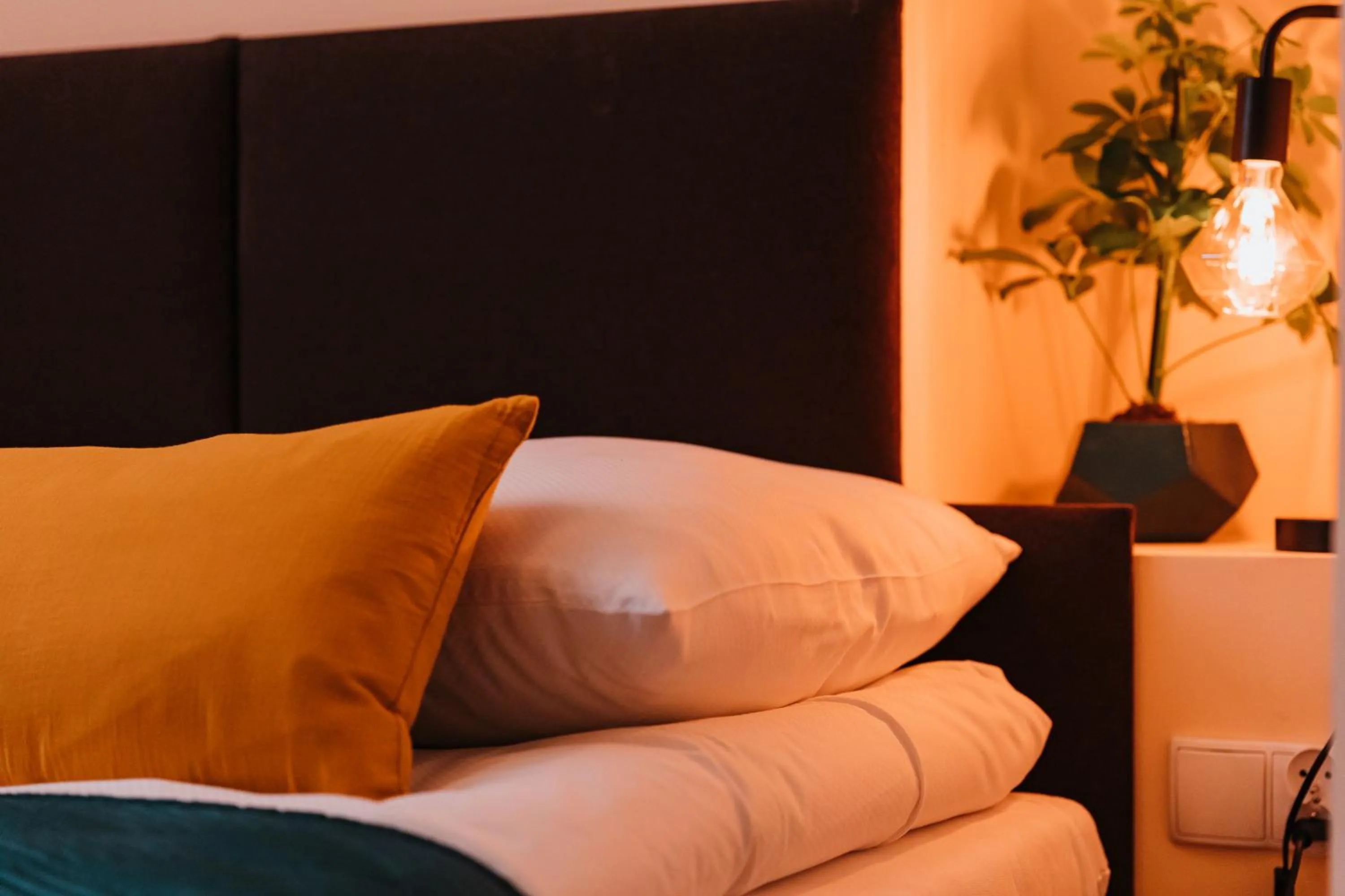 Kamieniczka Palladium