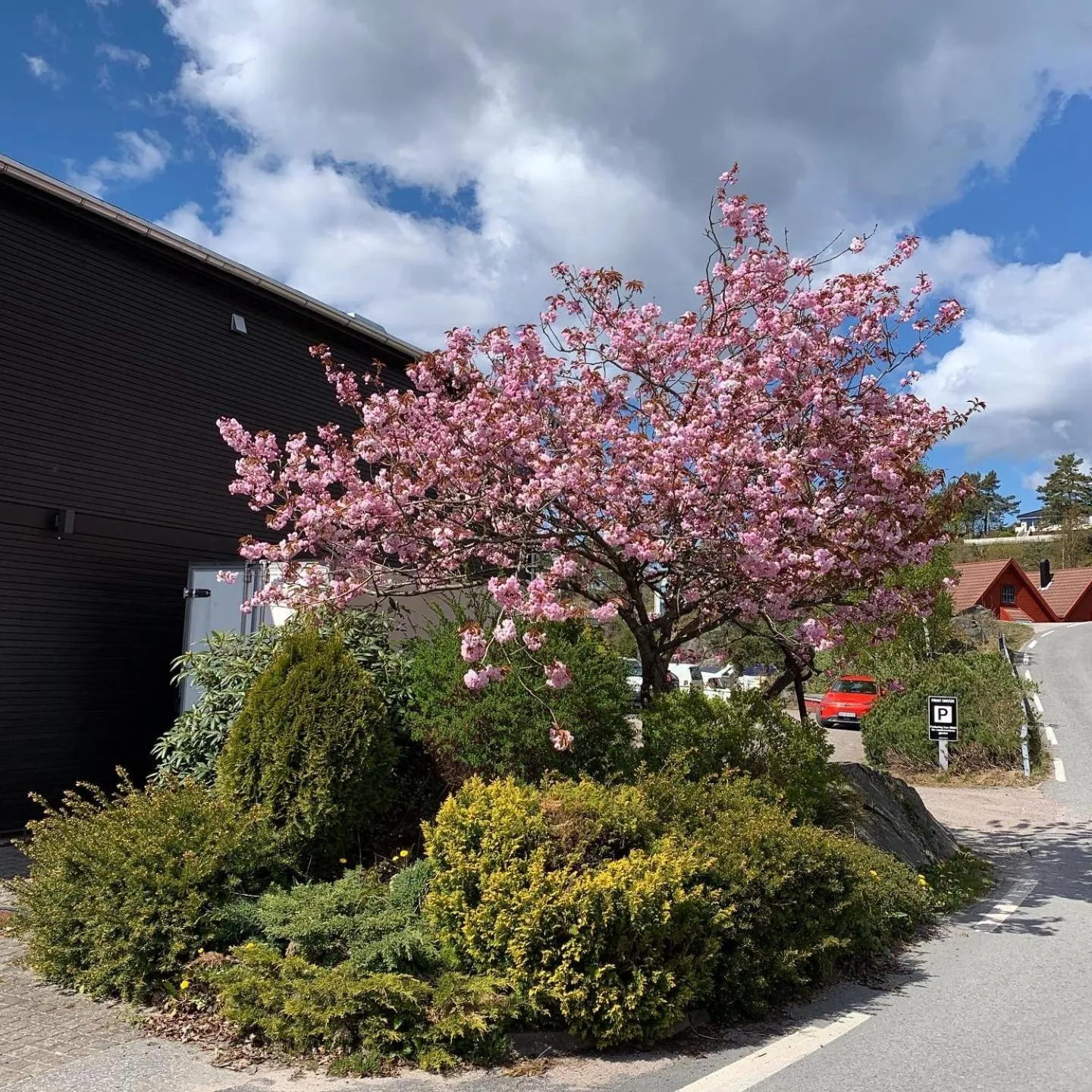 Property building in Trysnes Brygge