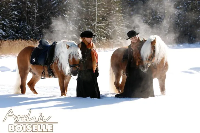 Horse-riding in Haflingerhof