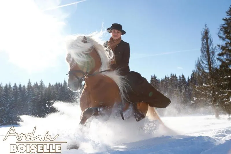 Winter in Haflingerhof