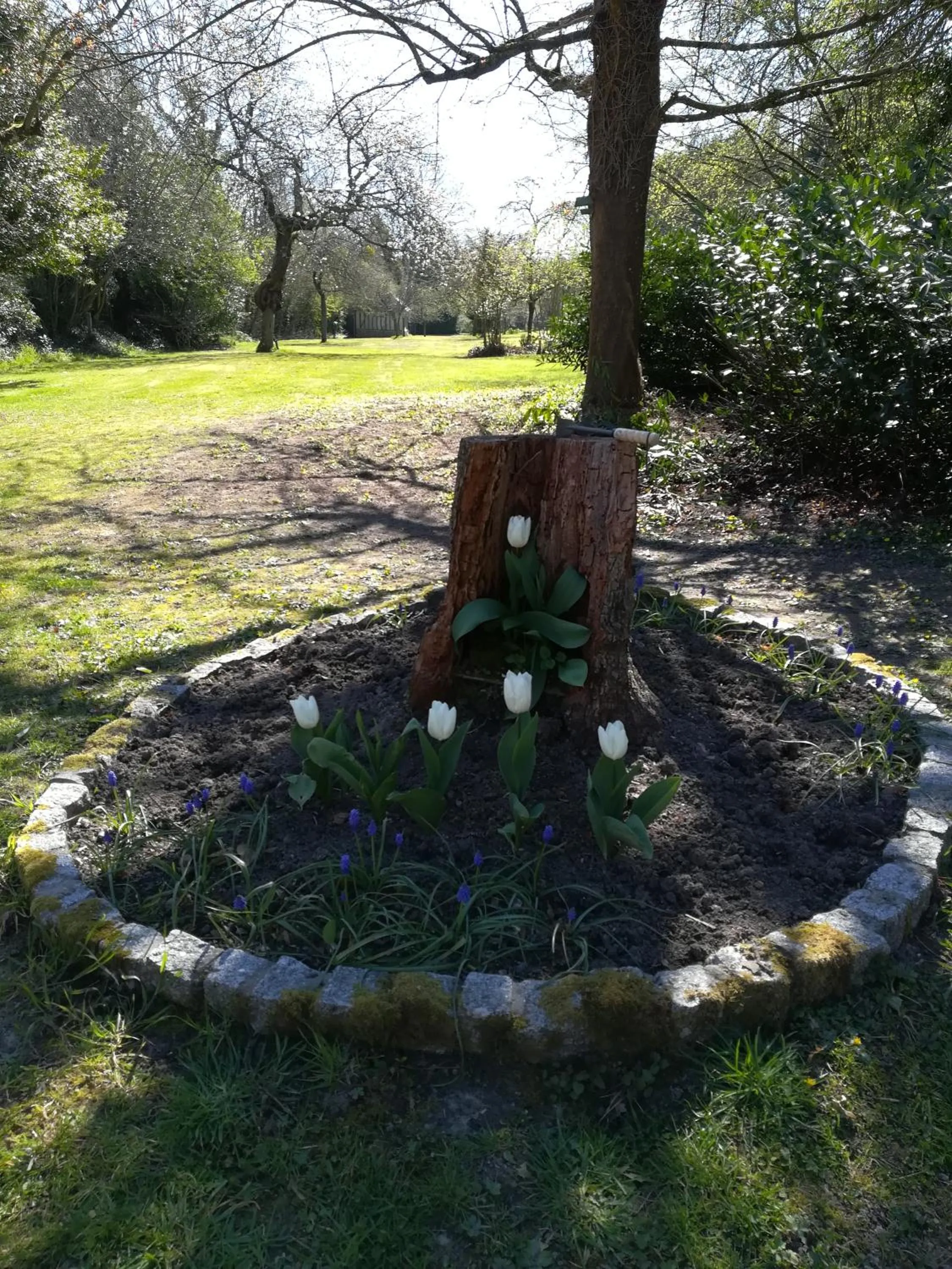 Spring in Lait & Lit