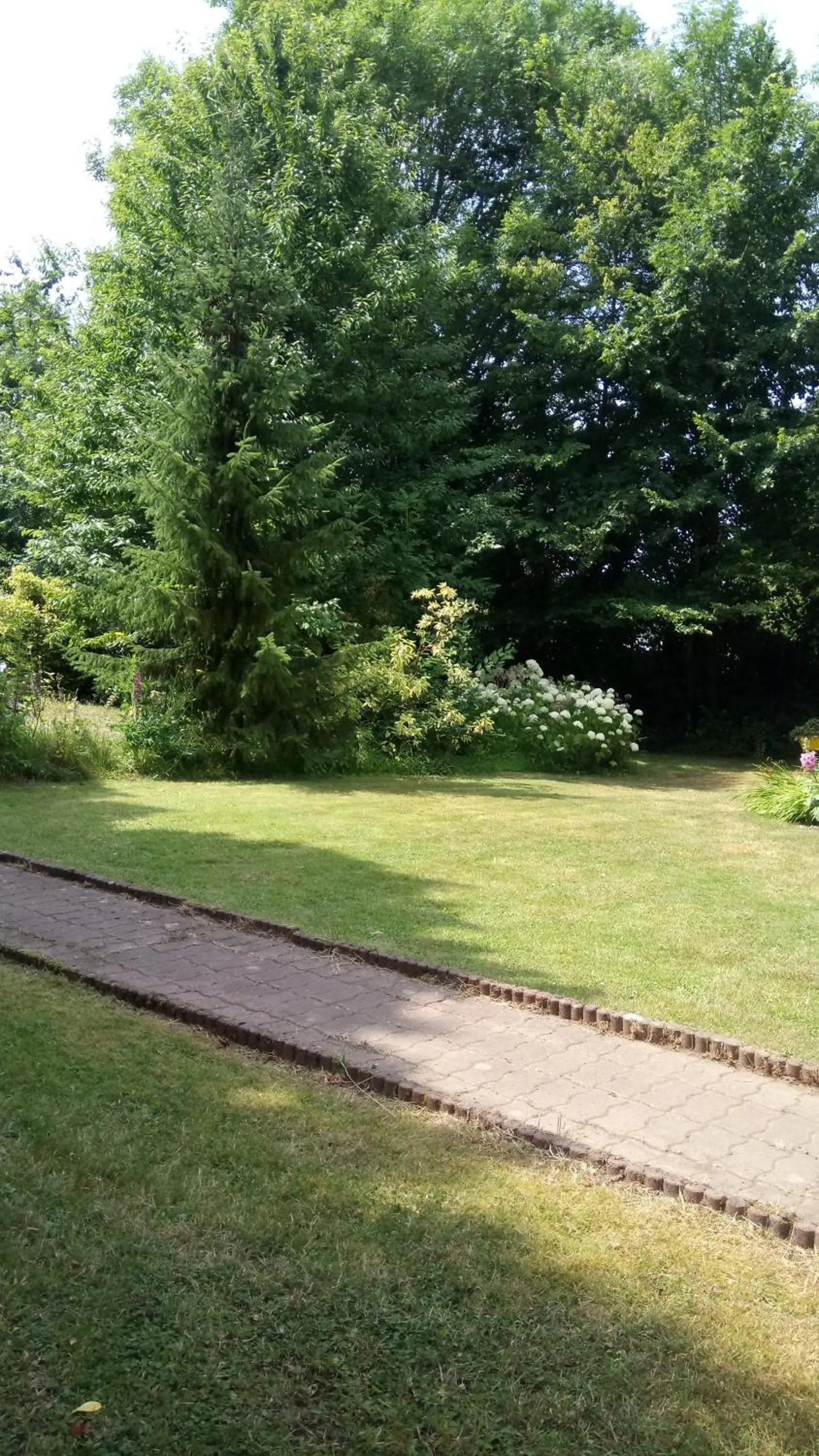 Garden view in Lait & Lit