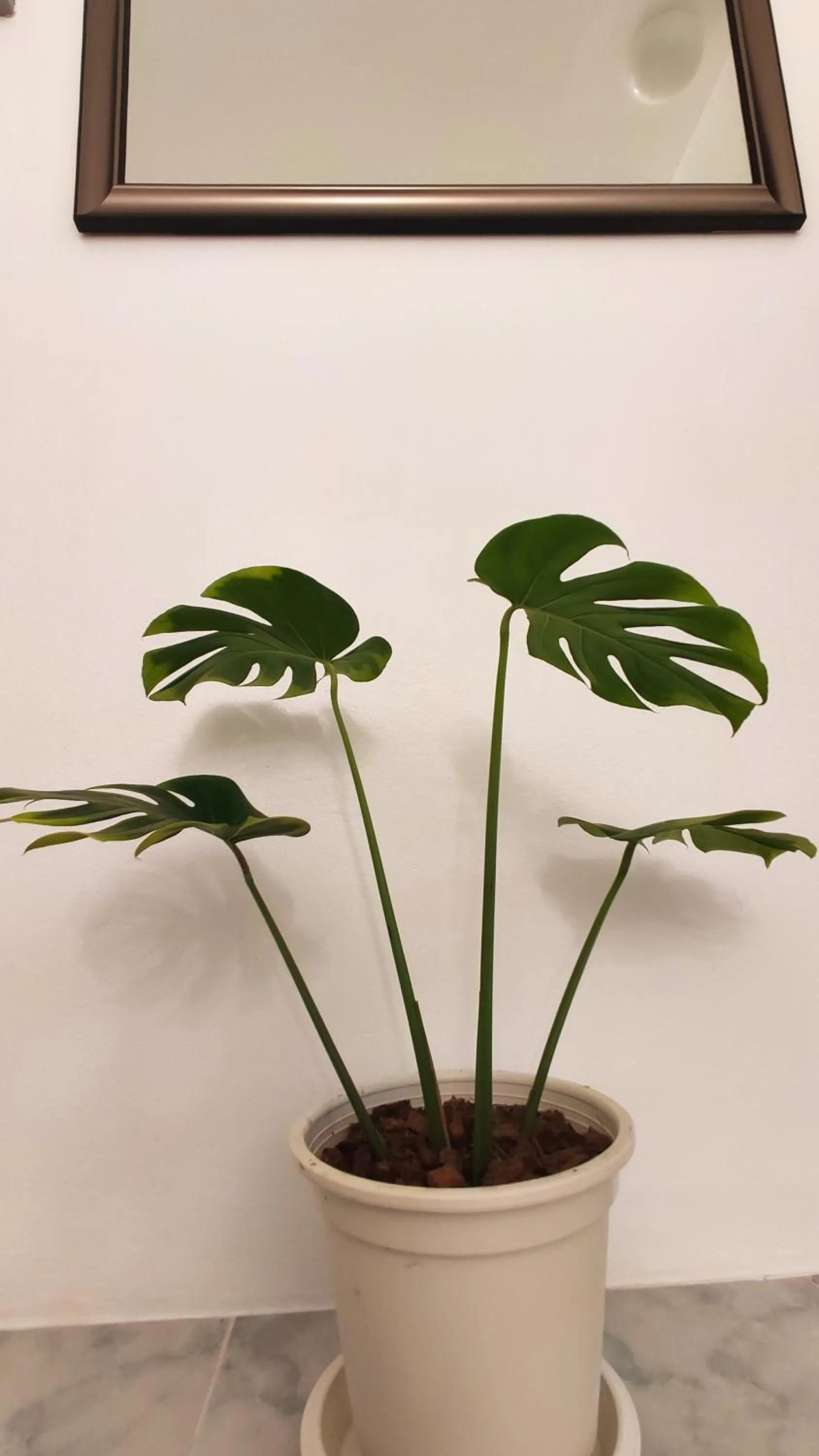 Decorative detail in Nap at 265 Donmeaung