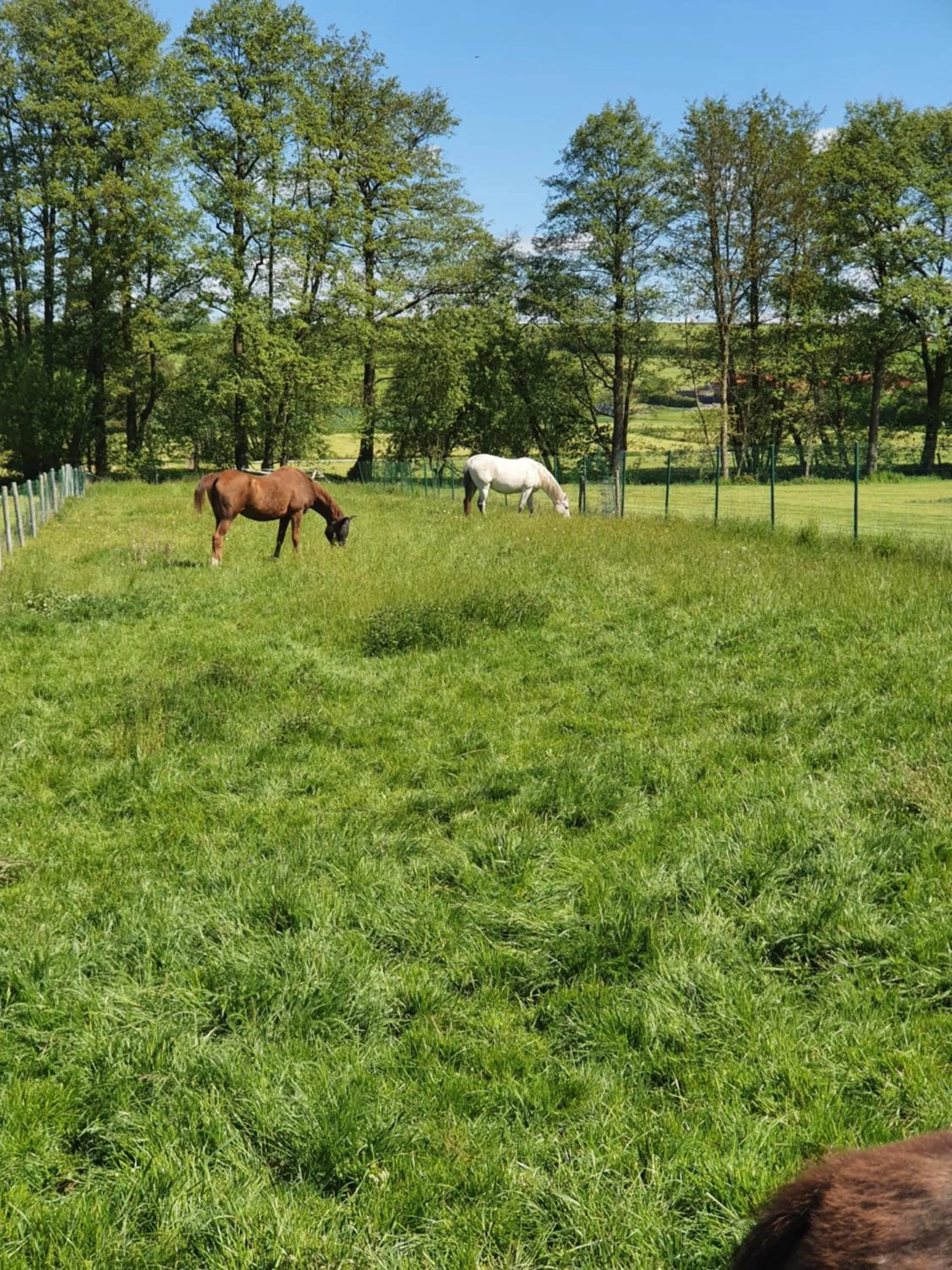 Spring in Budget Hotel Biebertal am Milseburgradweg