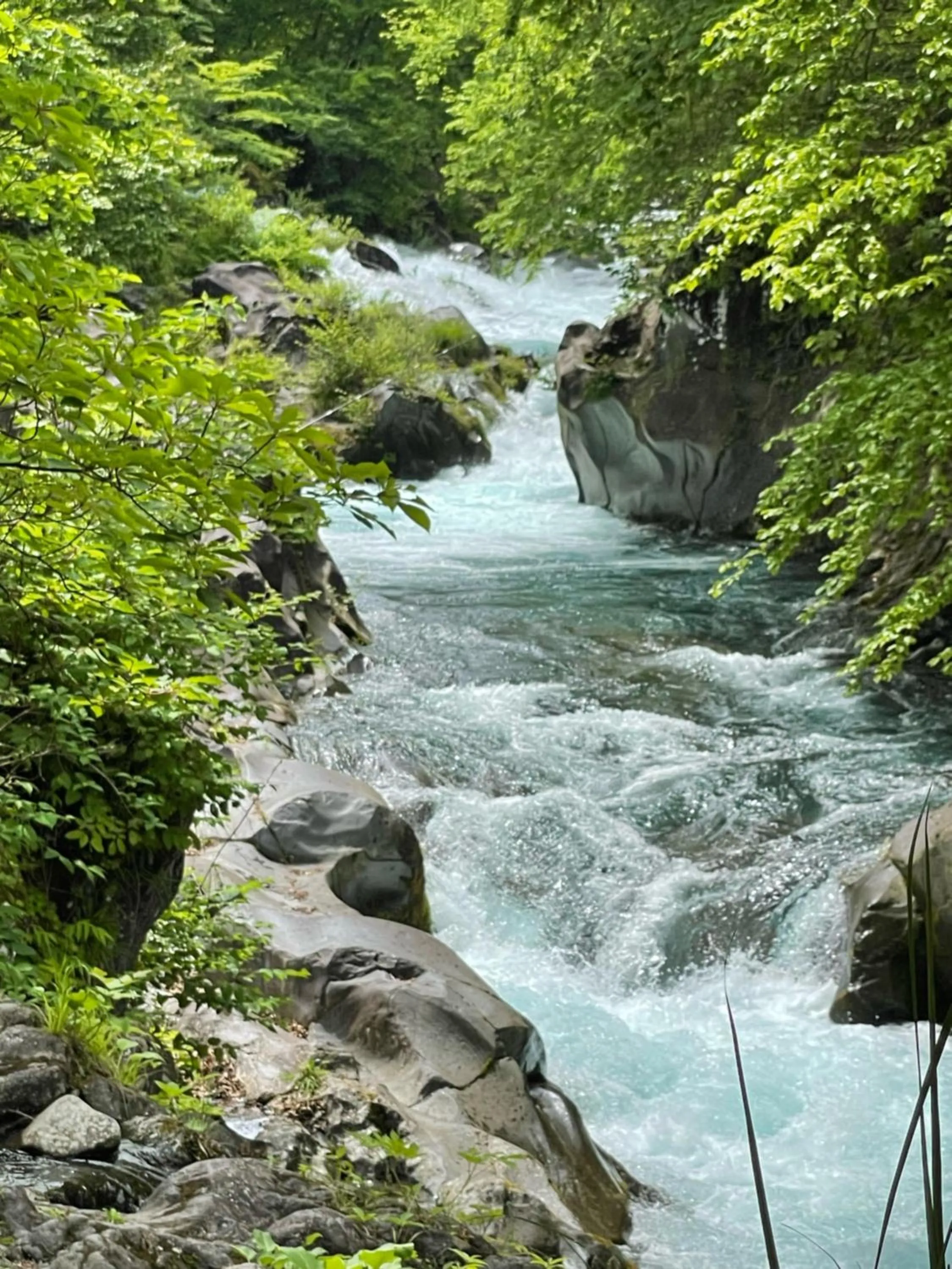 Property building in Morinouta