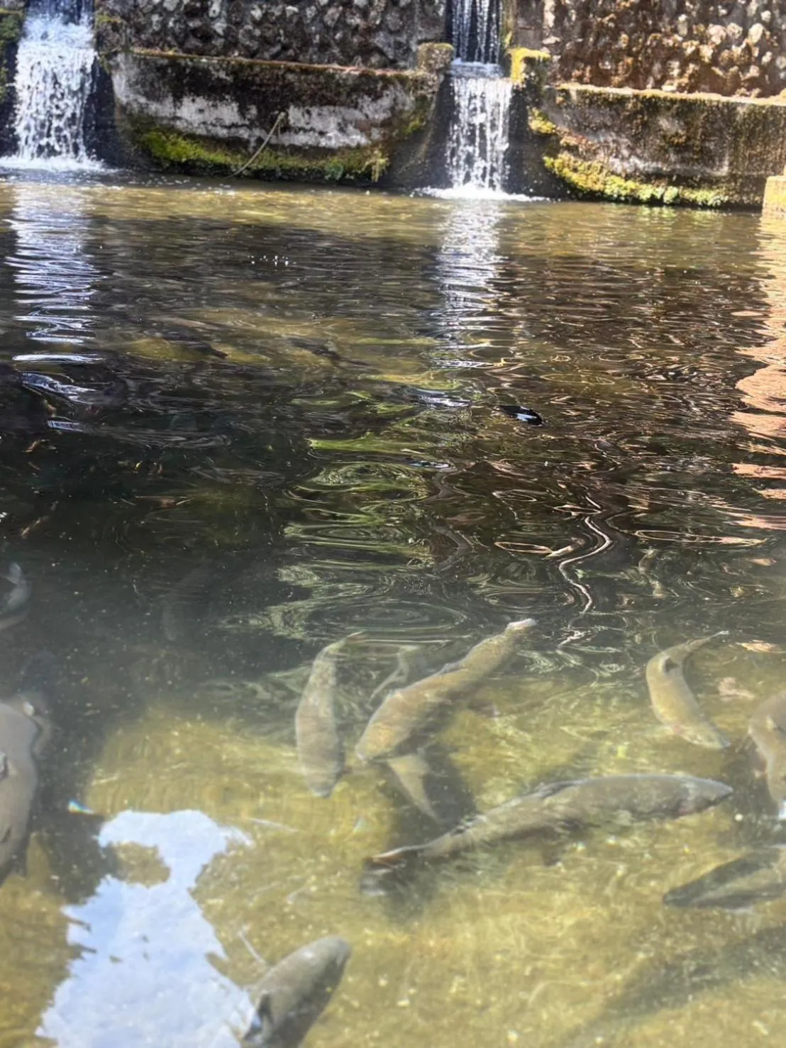 Restaurant/places to eat in Morinouta