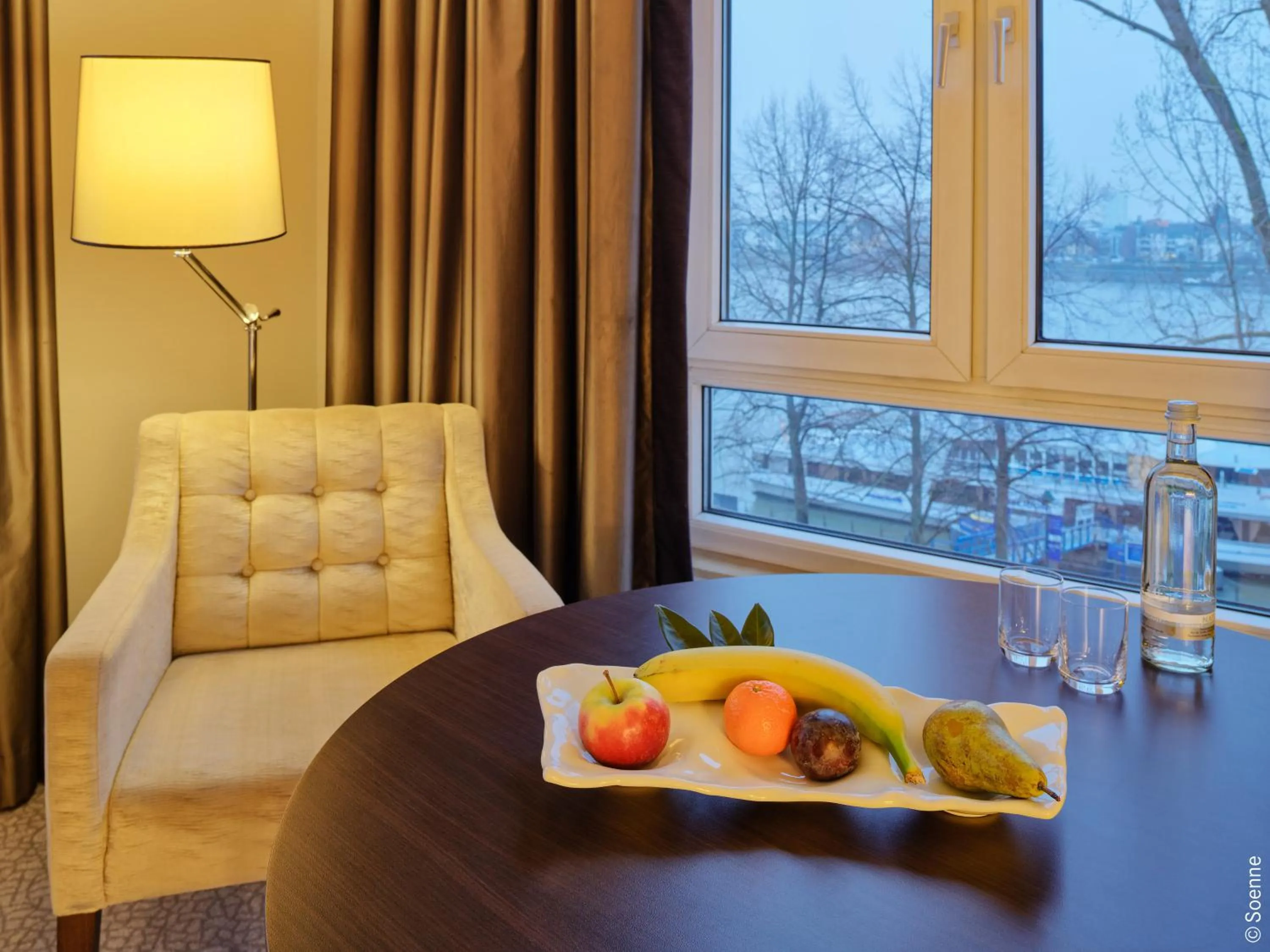 River view in Dorint Hotel Bonn