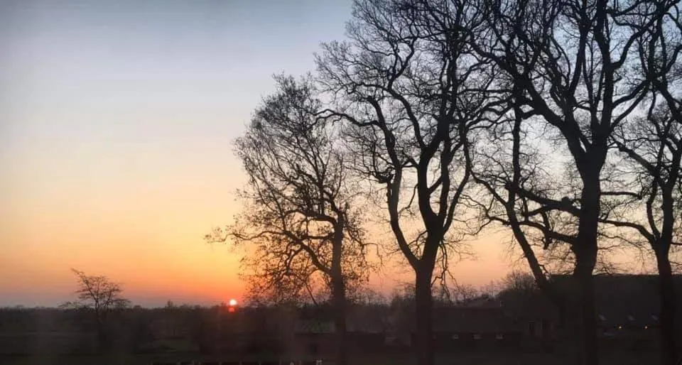 View (from property/room) in B&B De Herenboer