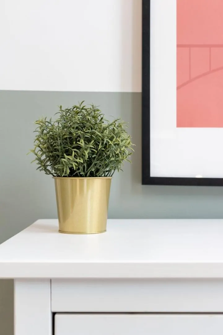 Lille Centre - Nice and functional ap.