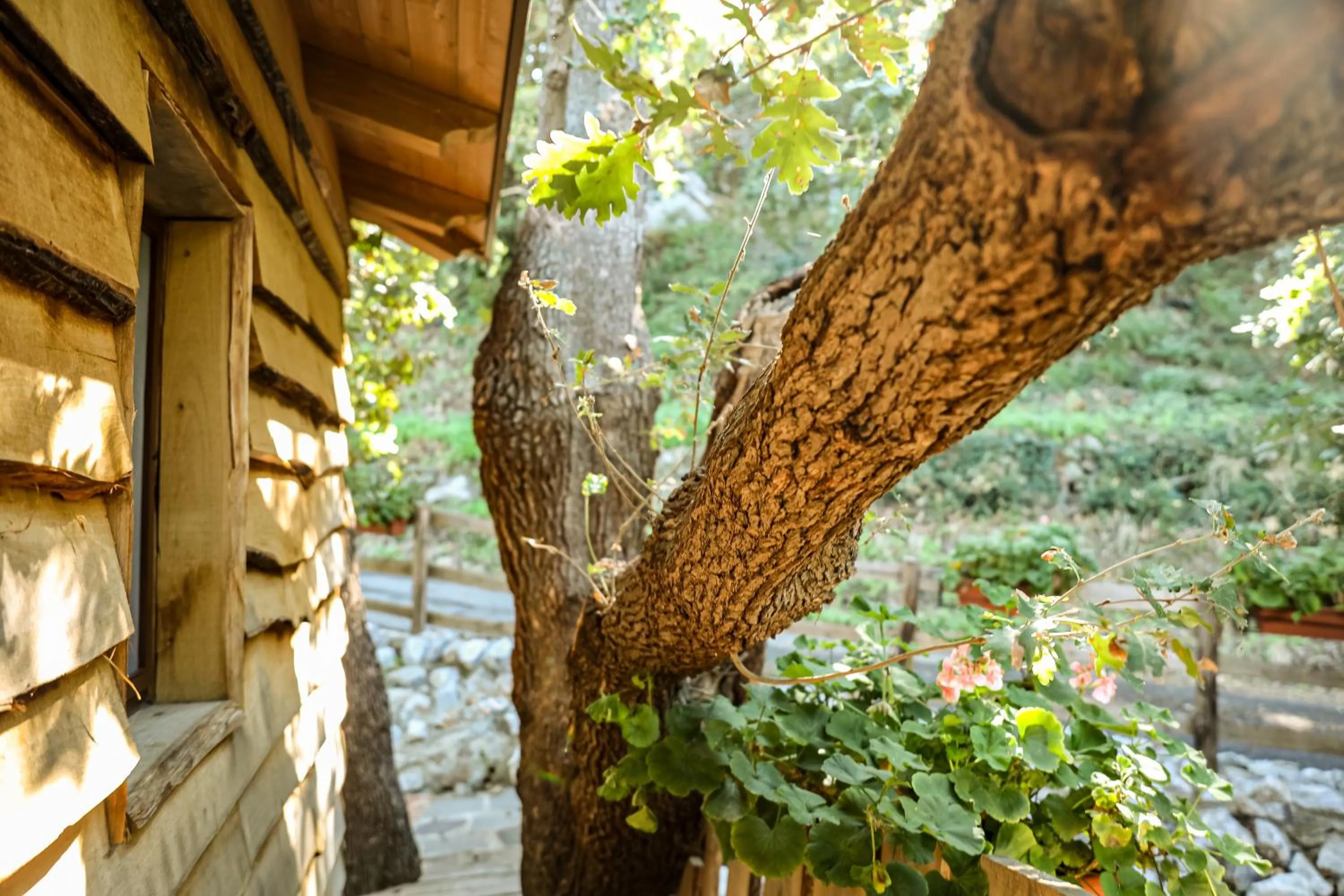 B & B Le Casette sull'albero di Villa Alba