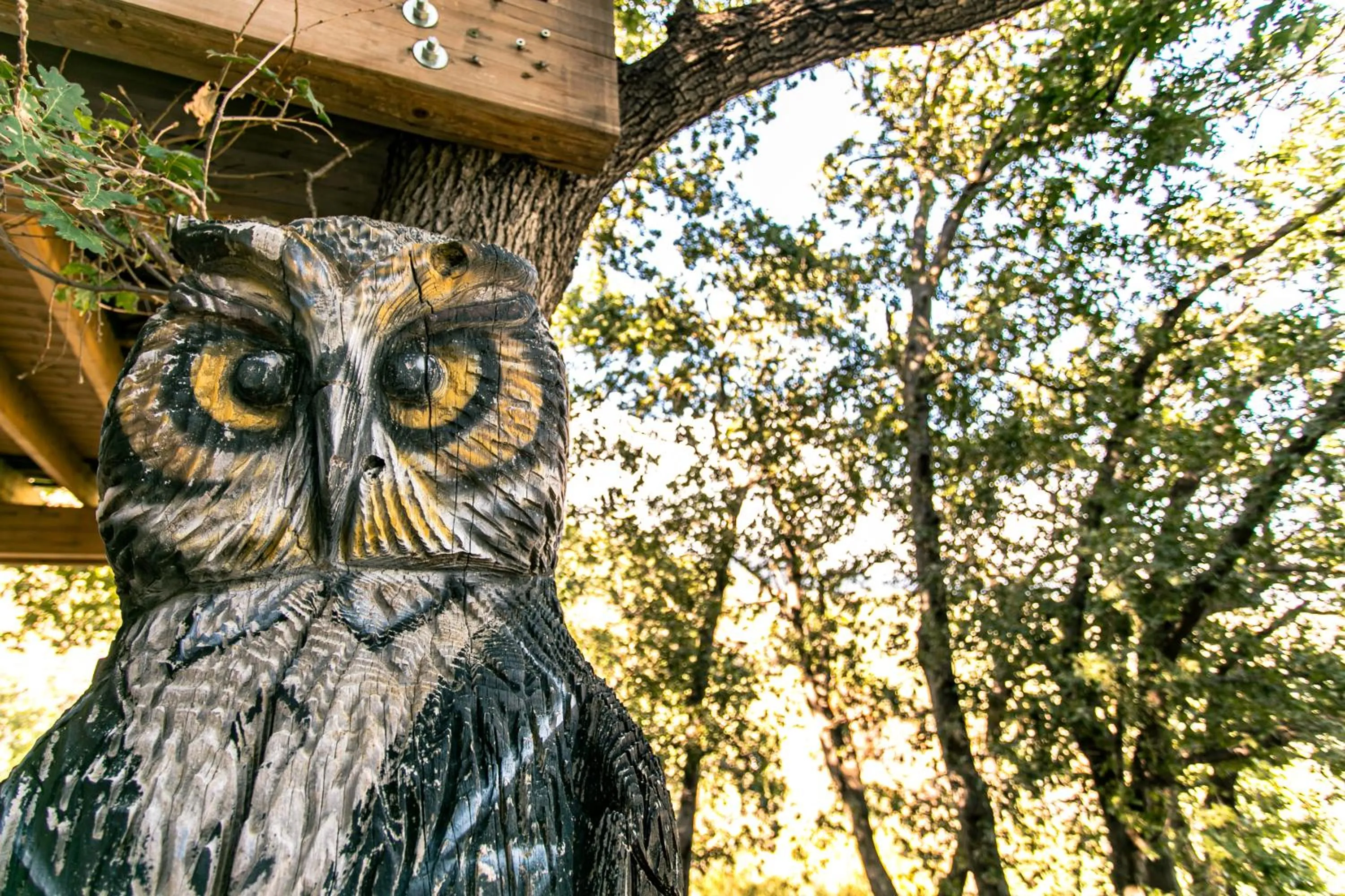 B & B Le Casette sull'albero di Villa Alba