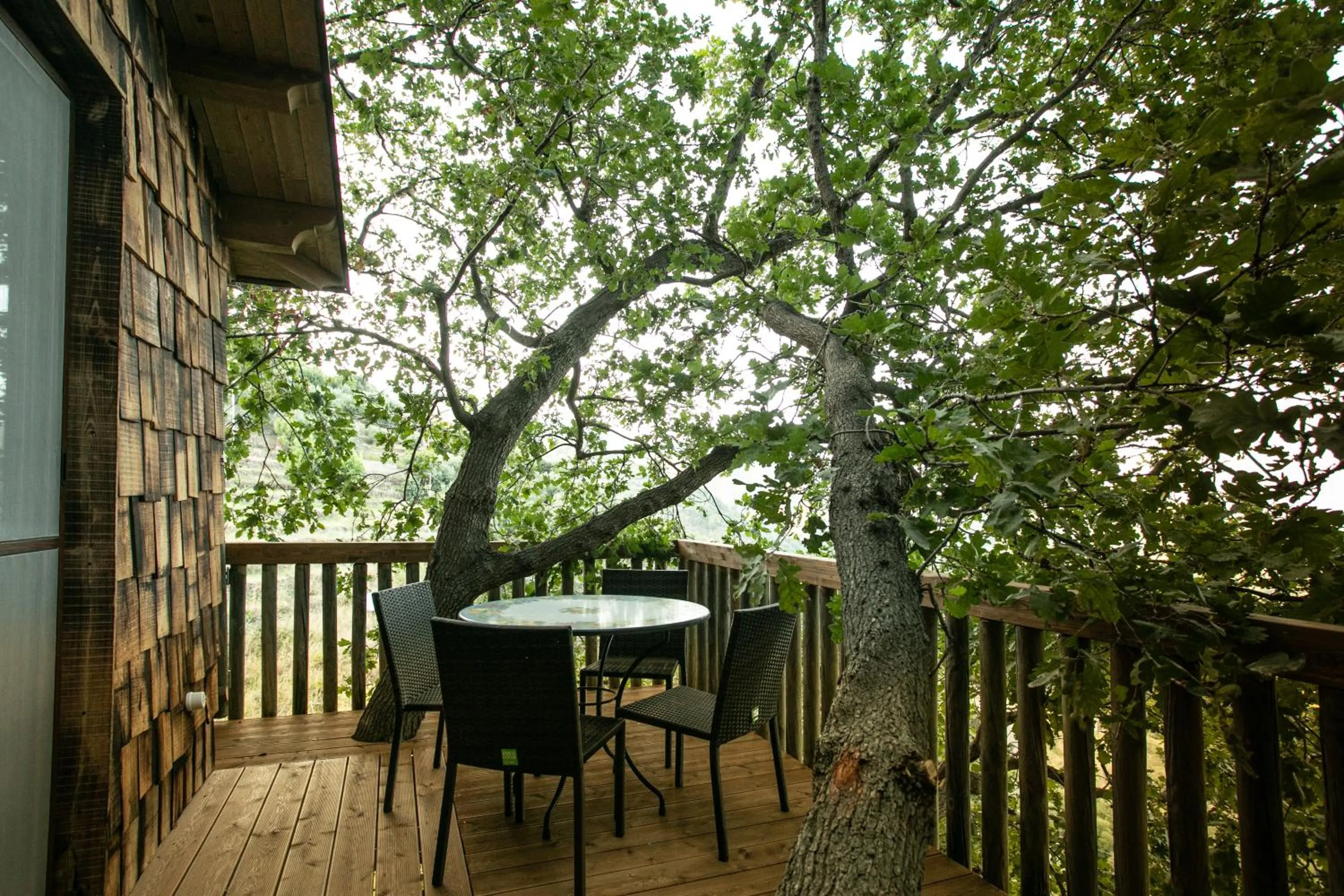 B & B Le Casette sull'albero di Villa Alba