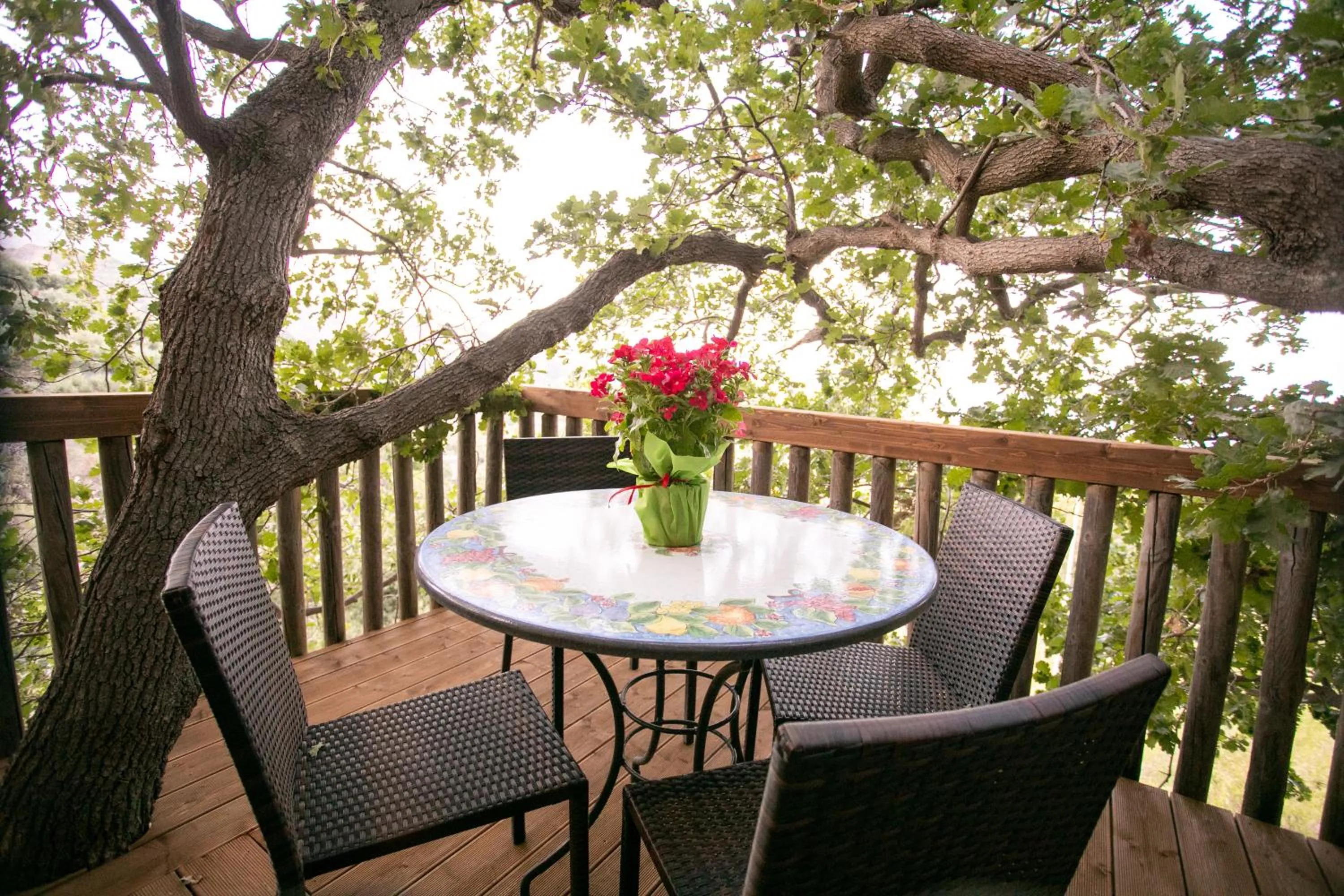 B & B Le Casette sull'albero di Villa Alba