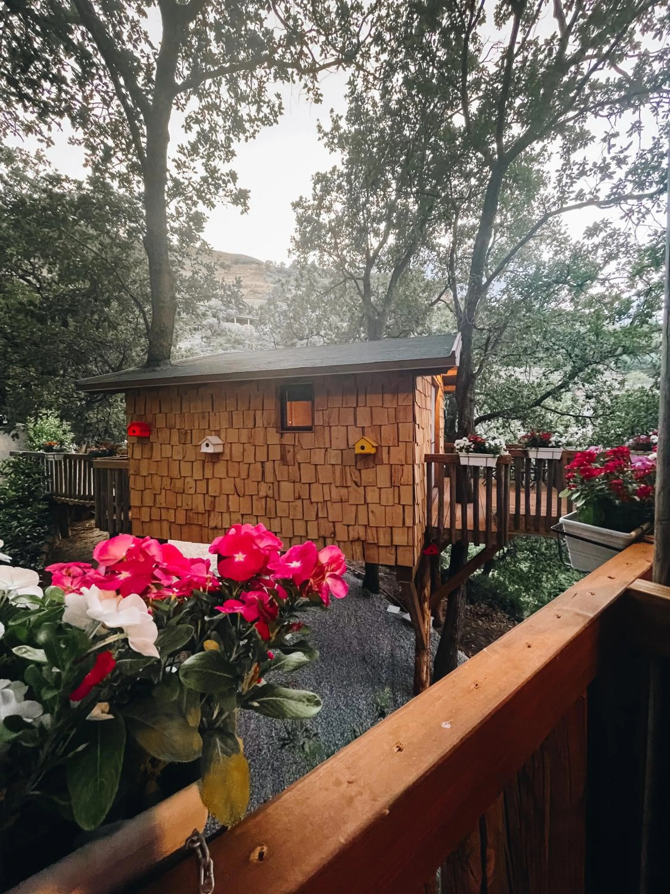 B & B Le Casette sull'albero di Villa Alba