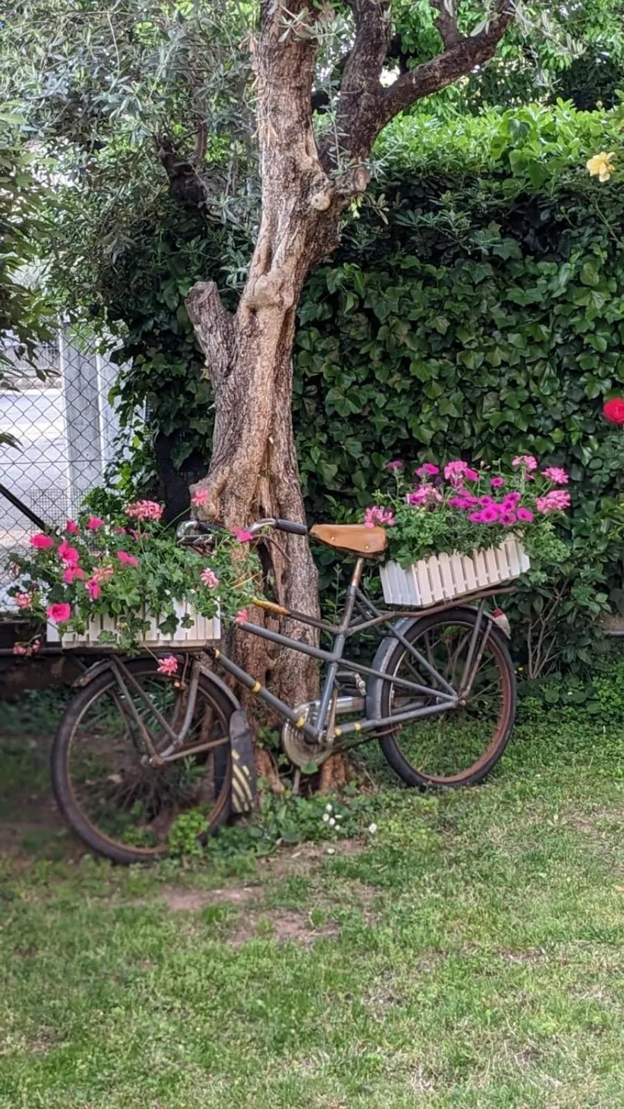 Bed & Breakfast Agli Aceri