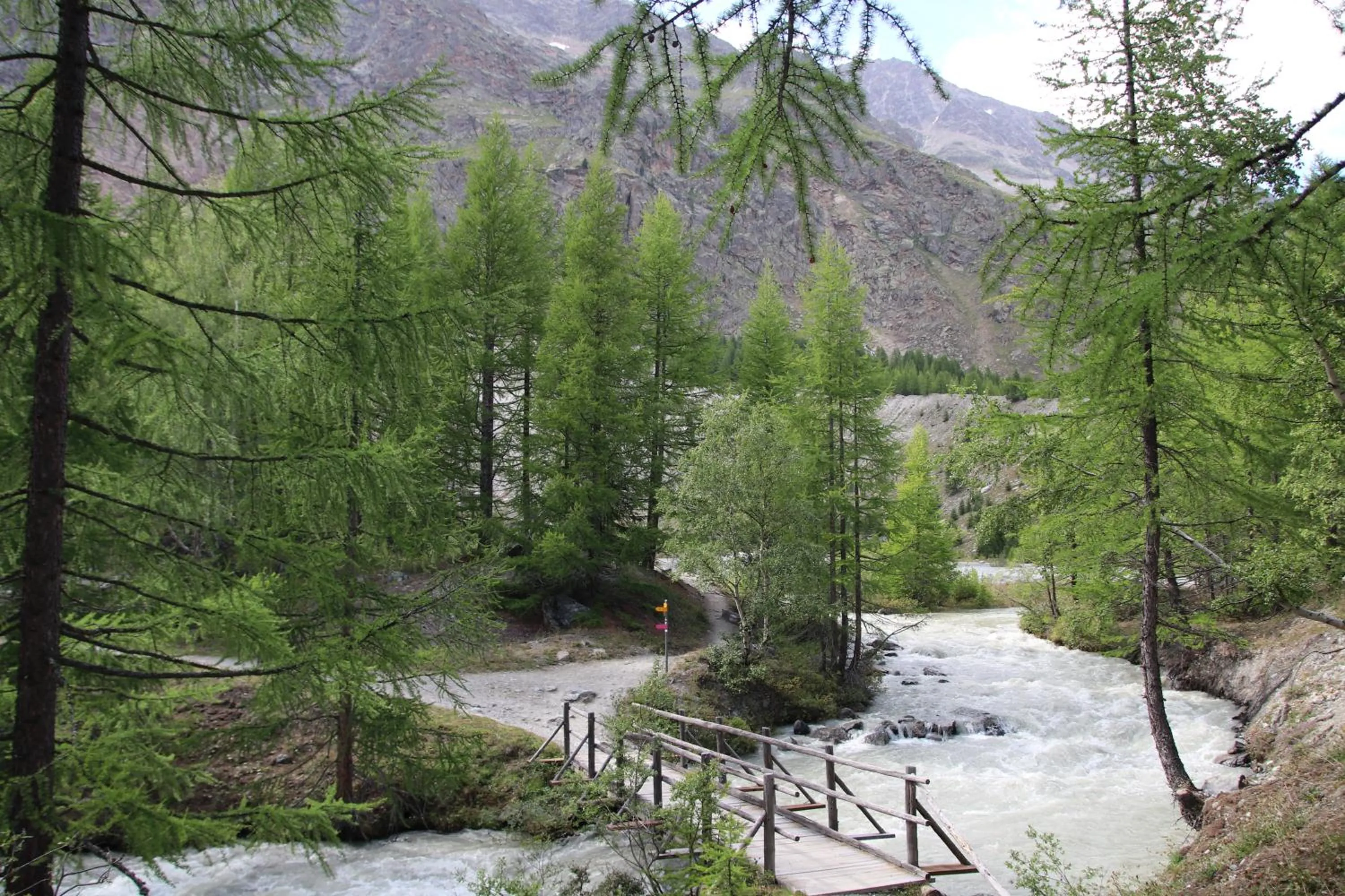 Natural landscape in Hotel Les Amis