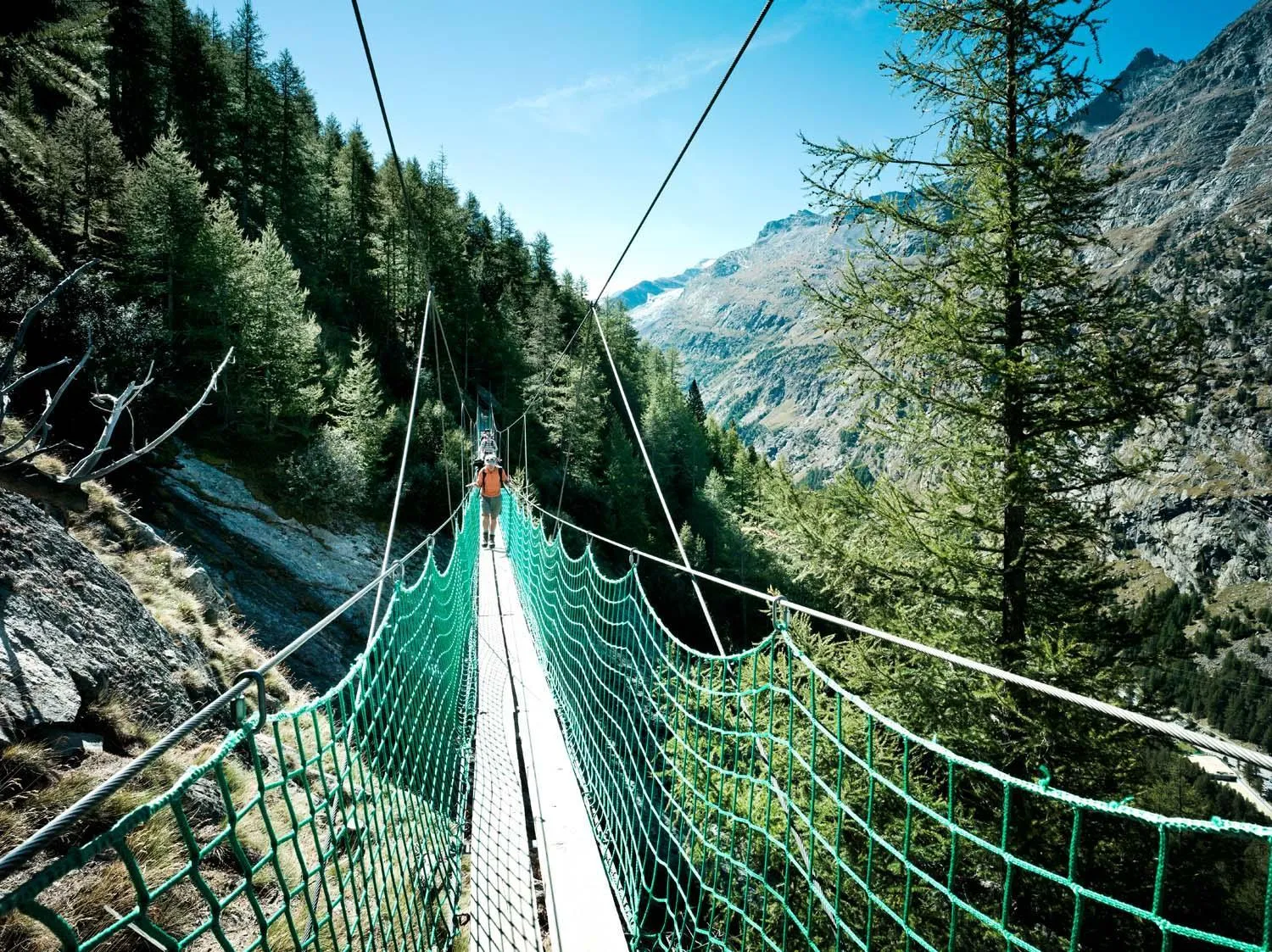 Natural landscape in Hotel Les Amis