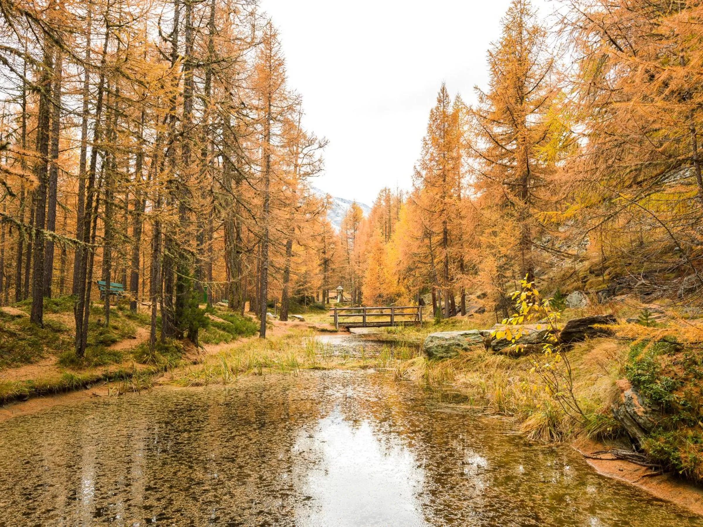 Natural landscape in Hotel Les Amis