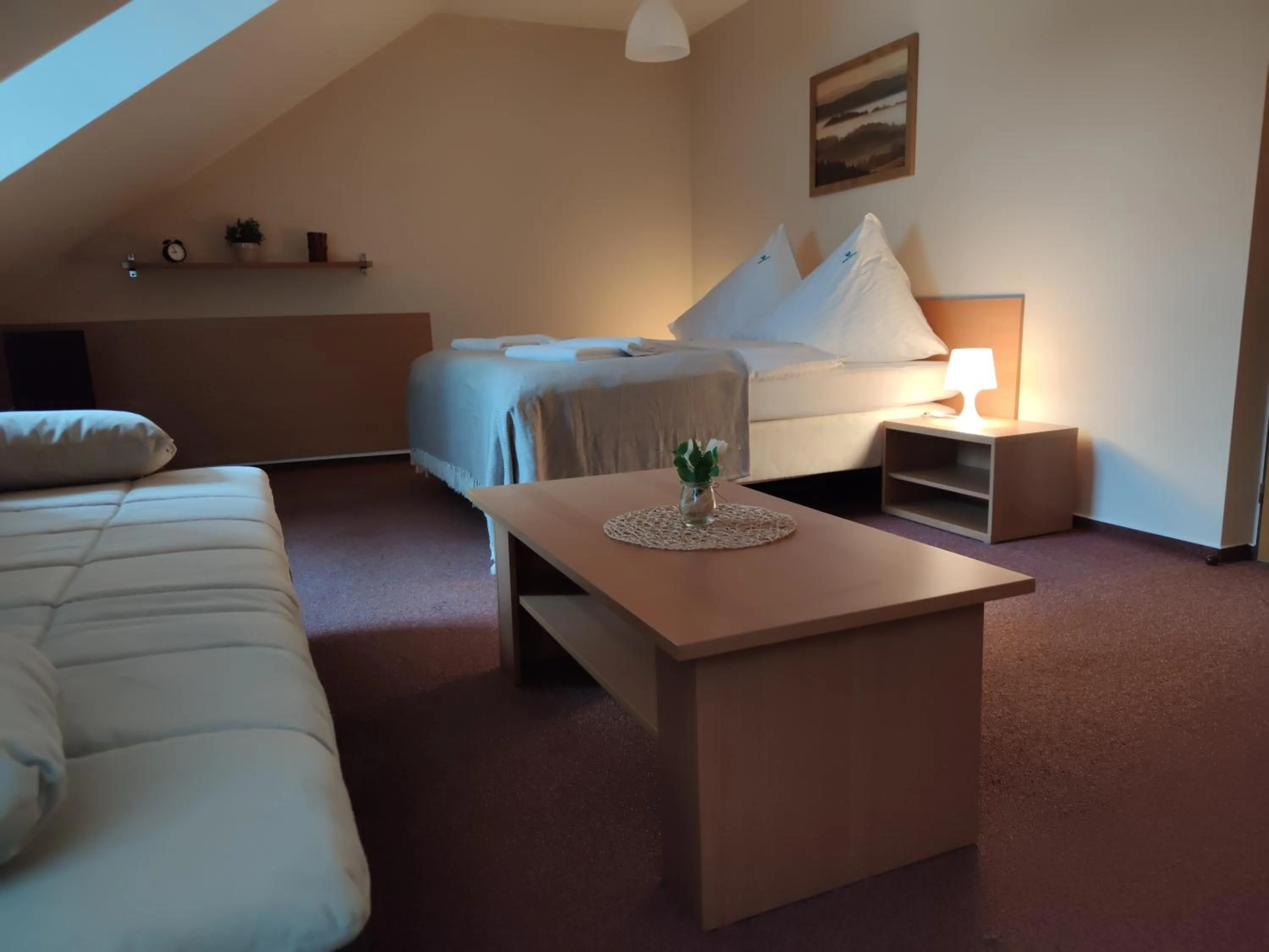 Bed in Hotel Modrásek