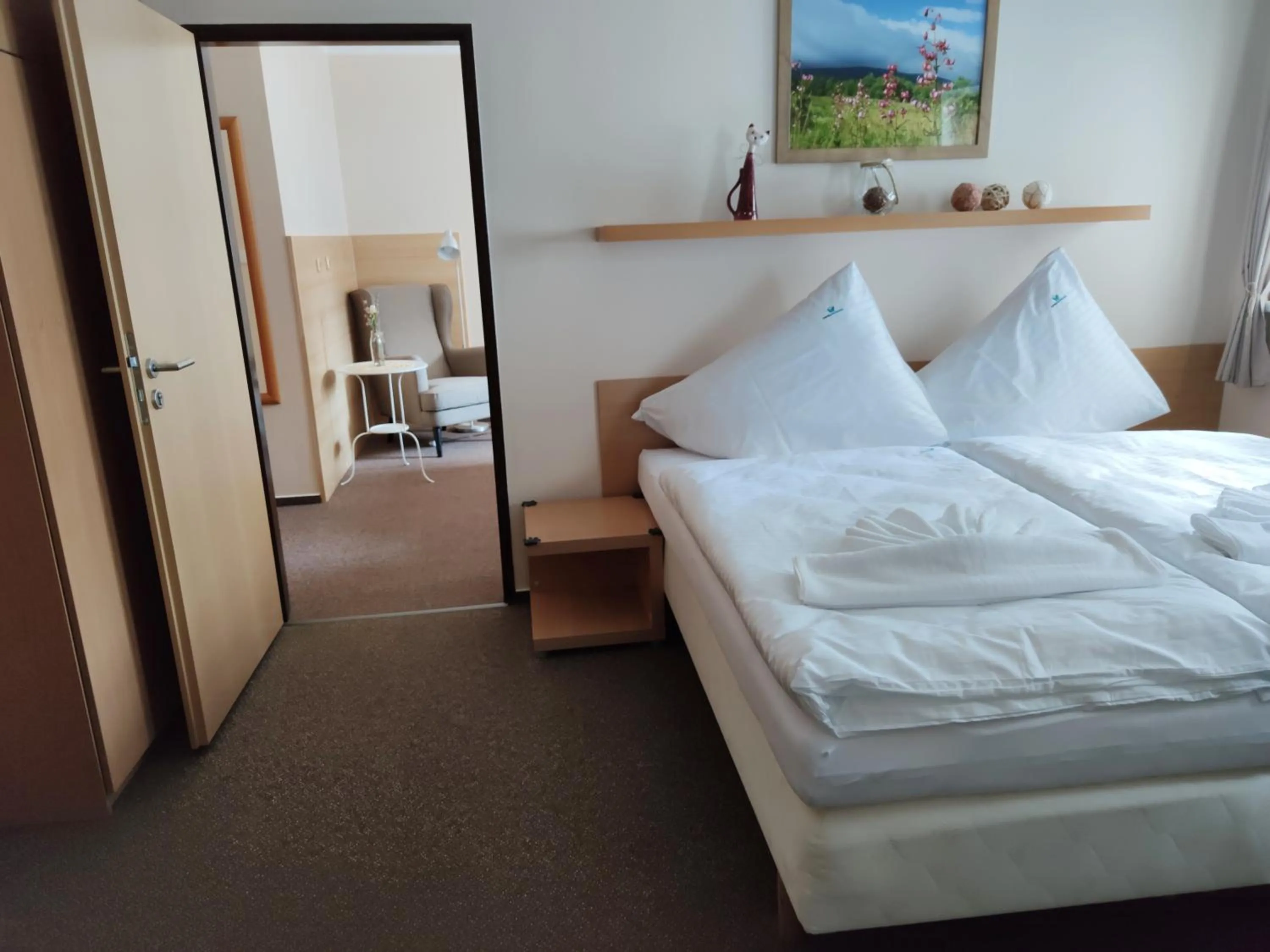 Bed in Hotel Modrásek