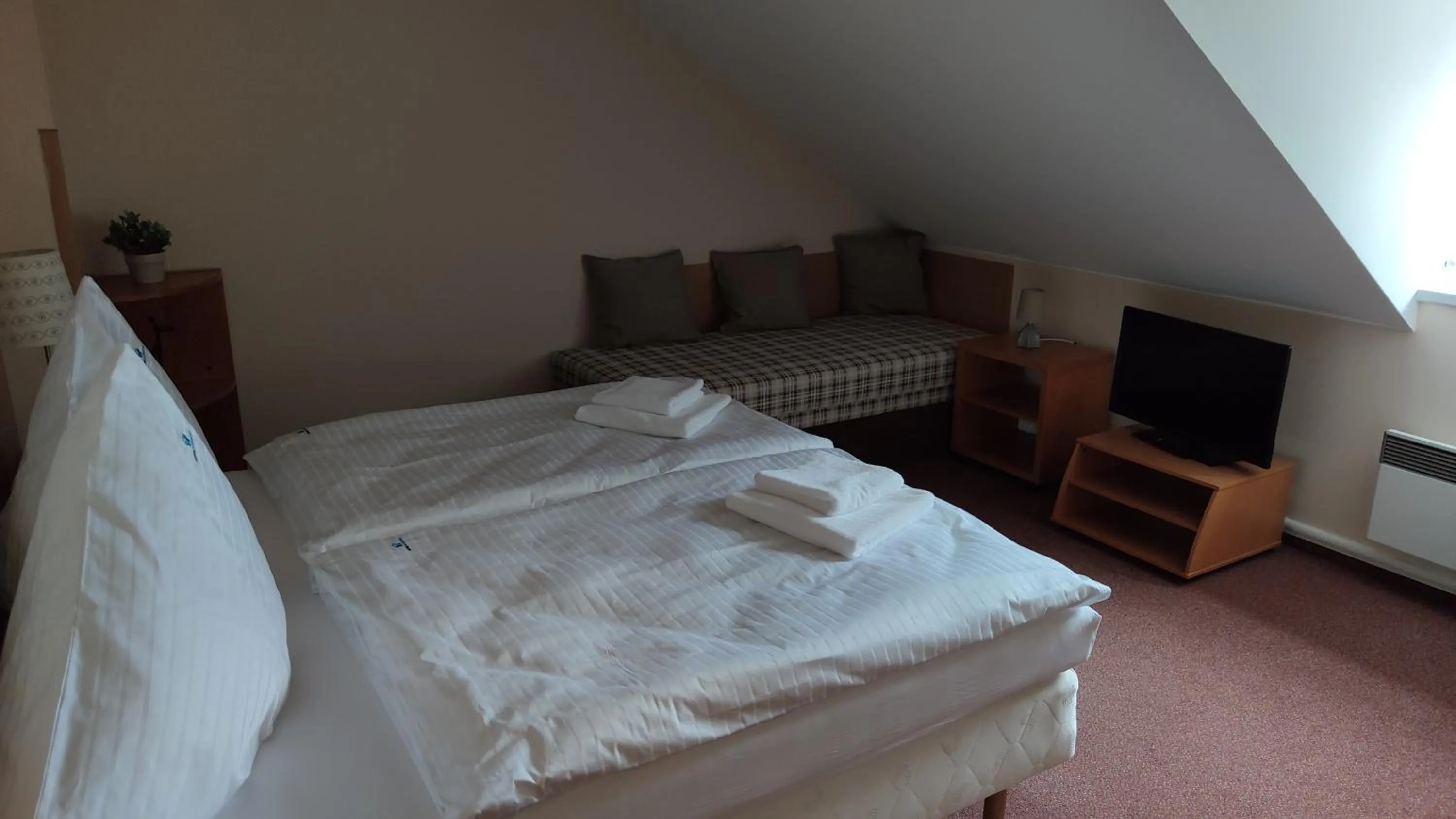 Bed in Hotel Modrásek